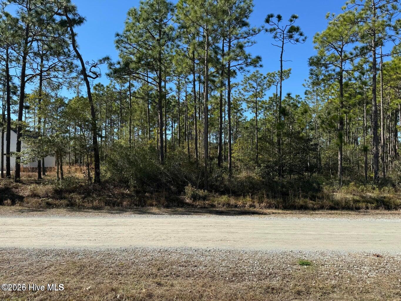 100 Bridges Road Property Photo 1