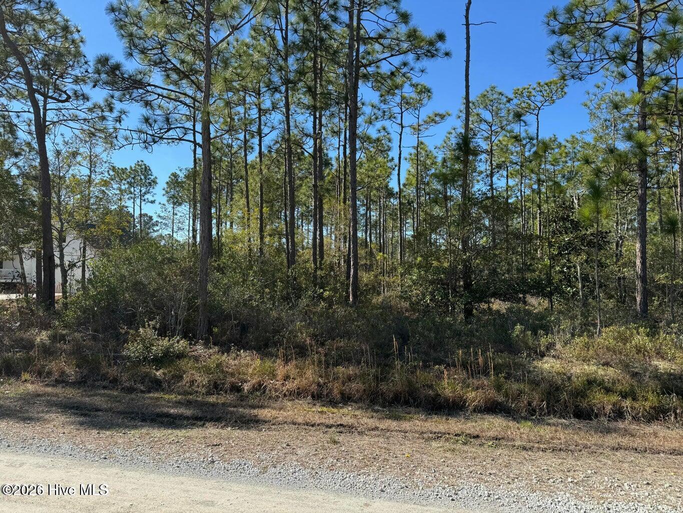 100 Bridges Road Property Photo 2