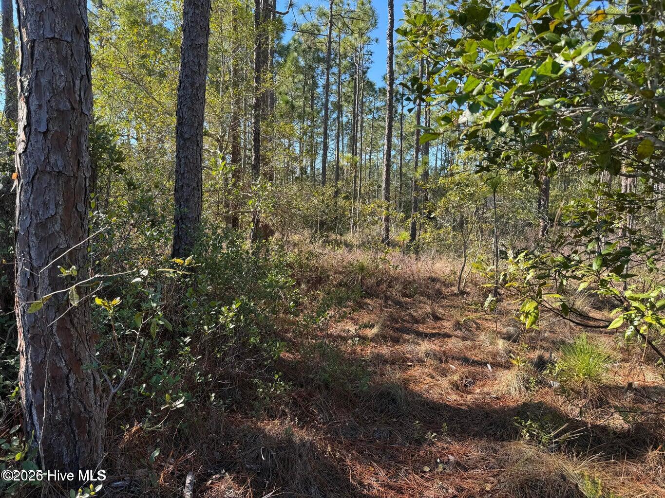 100 Bridges Road Property Photo 4