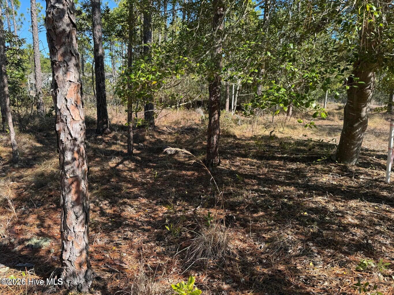 100 Bridges Road Property Photo 6