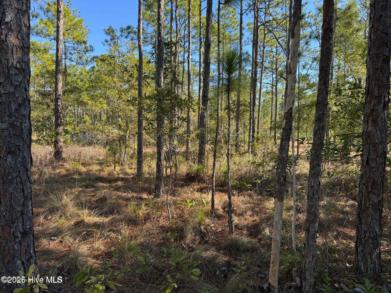 100 Bridges Road Property Photo 7