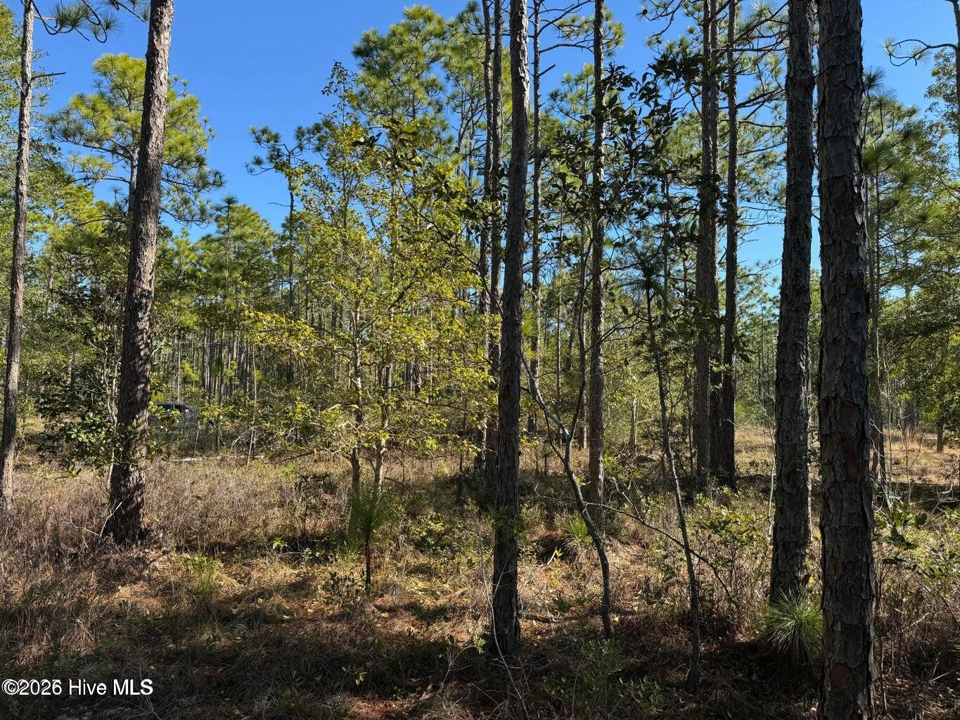 100 Bridges Road Property Photo 8
