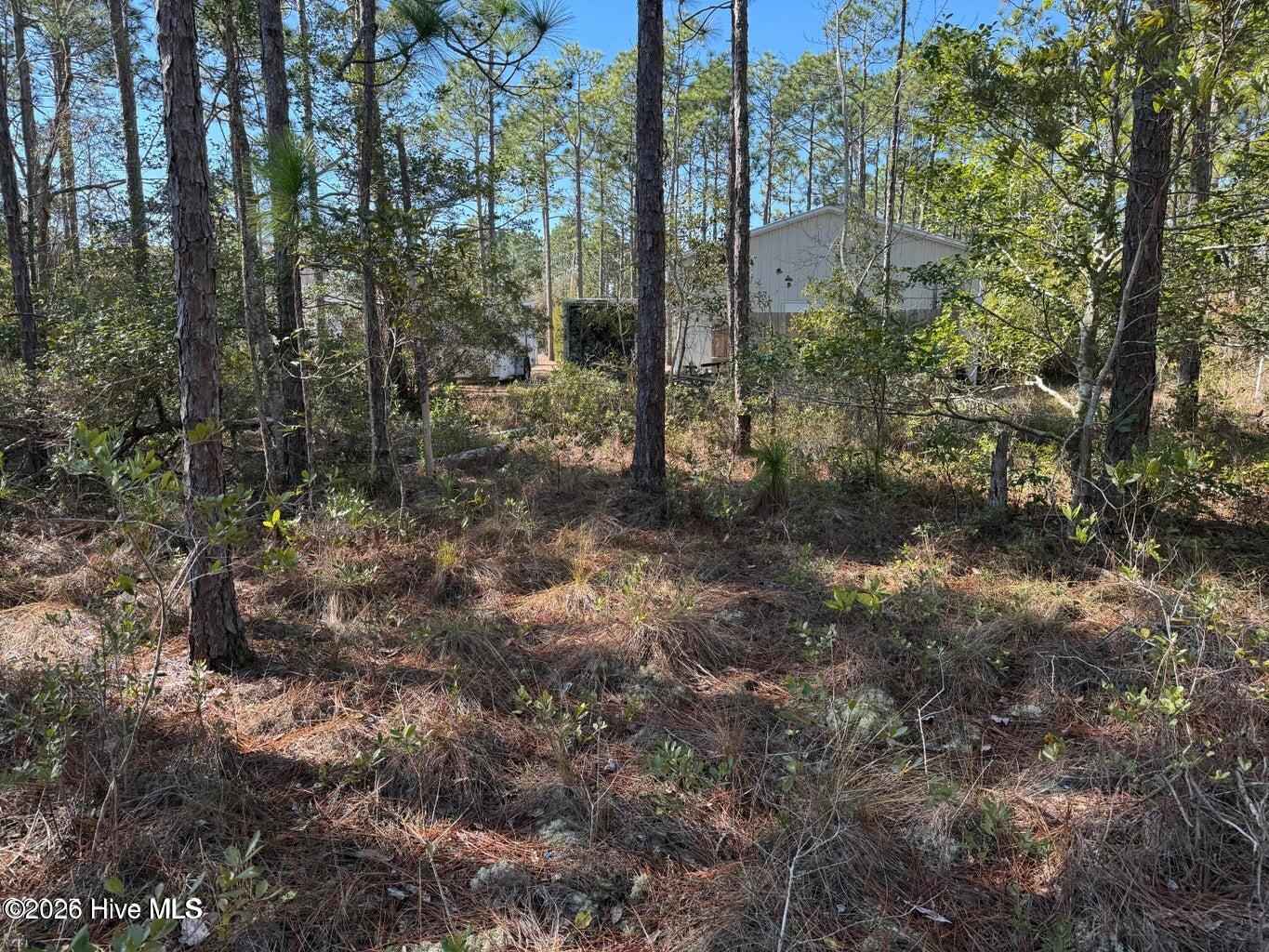 100 Bridges Road Property Photo 9
