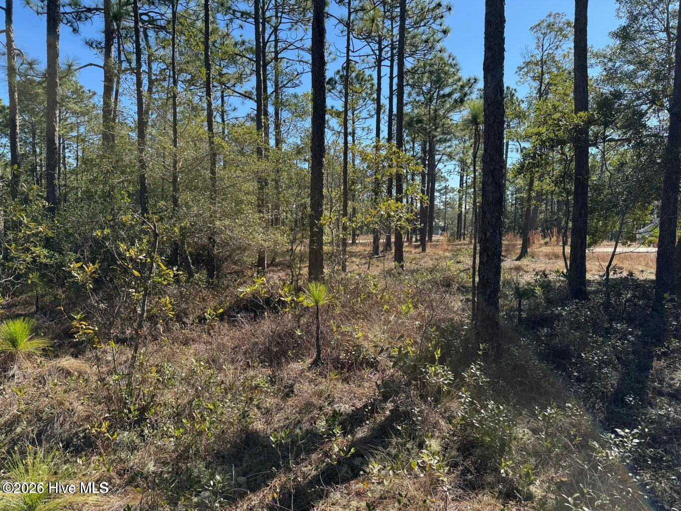 100 Bridges Road Property Photo 10