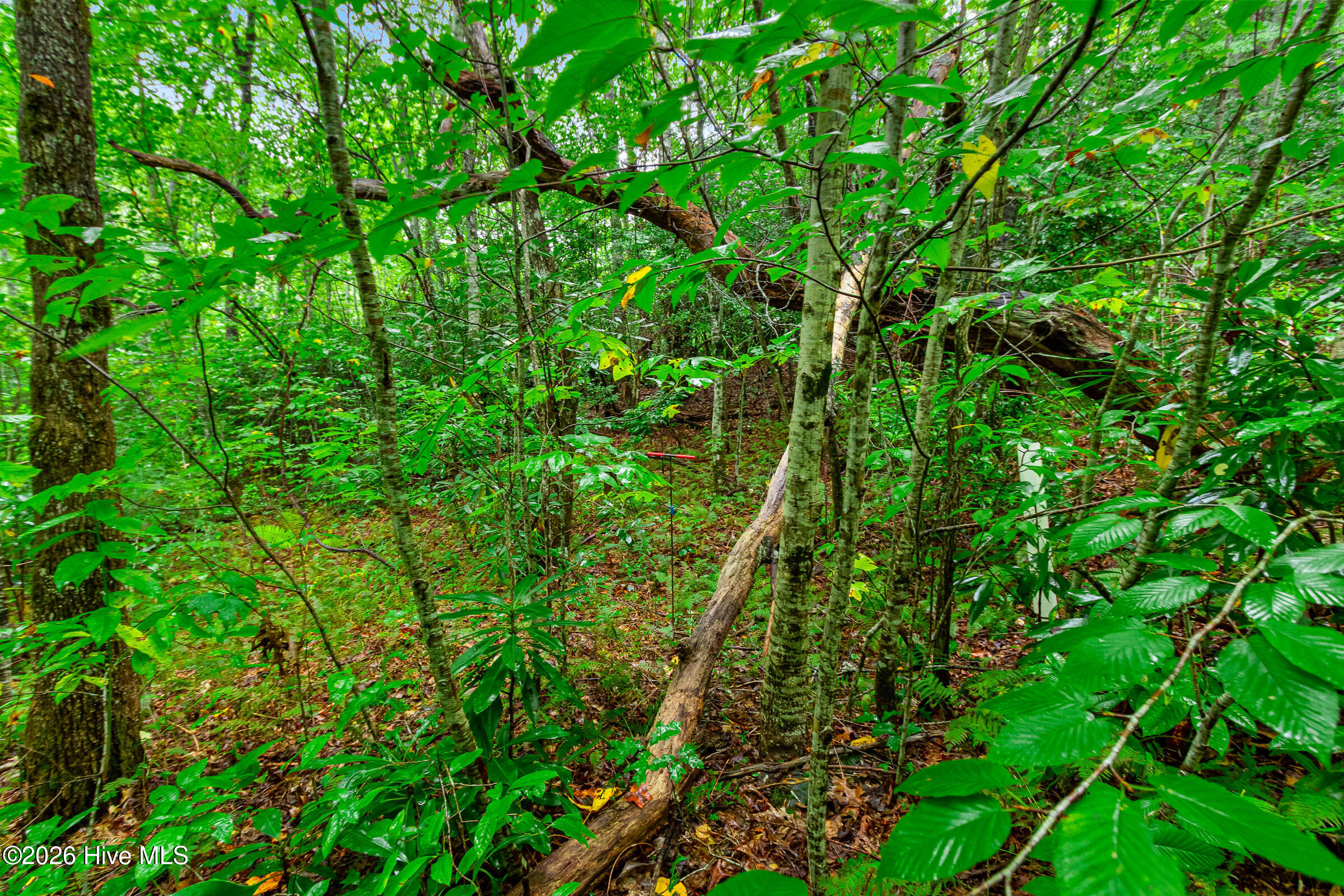 Lot 28 Water Gauge Road Property Photo 11