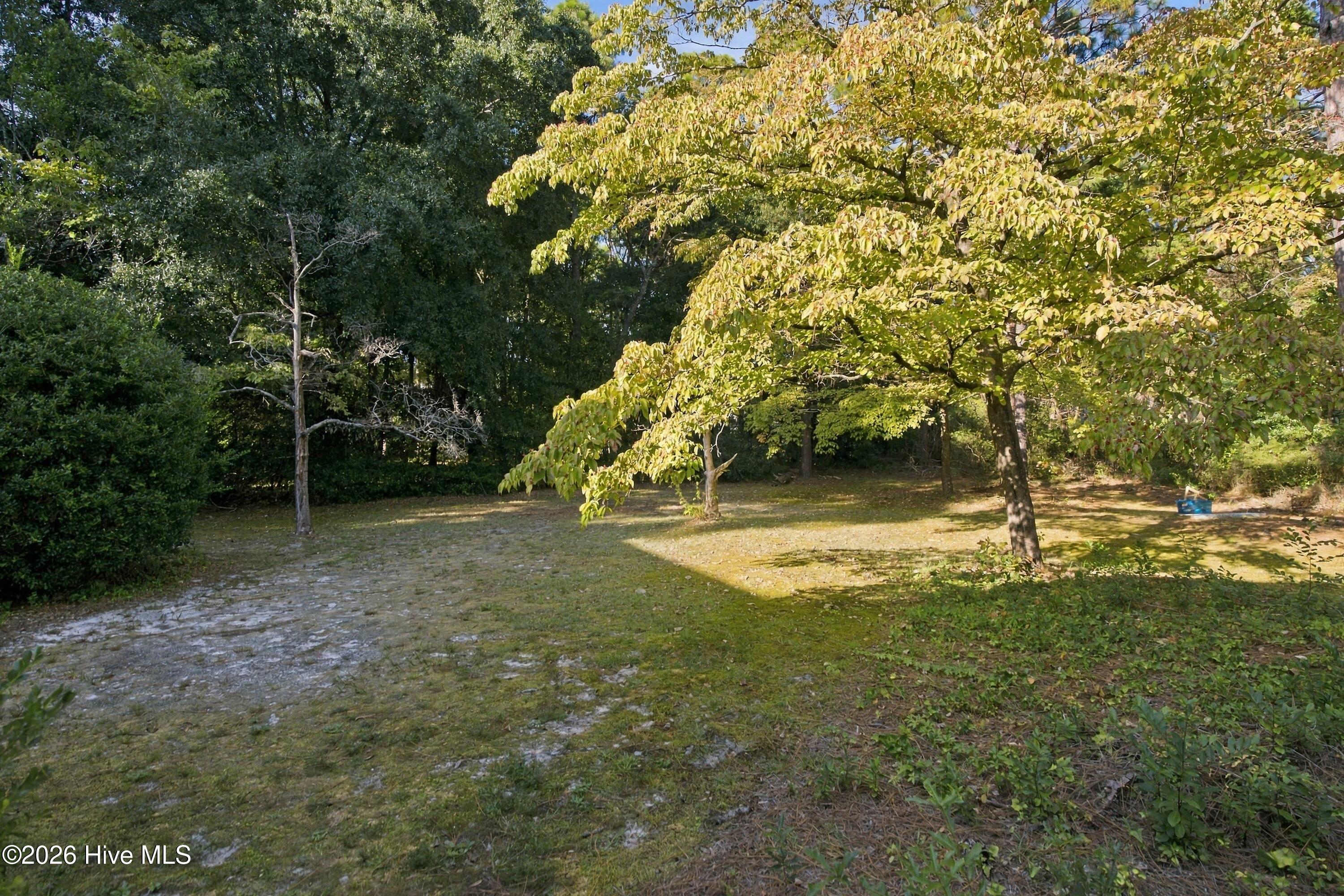 2209 Waverly Drive Property Photo 43