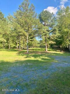 195 Ruby Ridge Road Property Photo 20