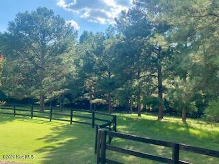 195 Ruby Ridge Road Property Photo 26