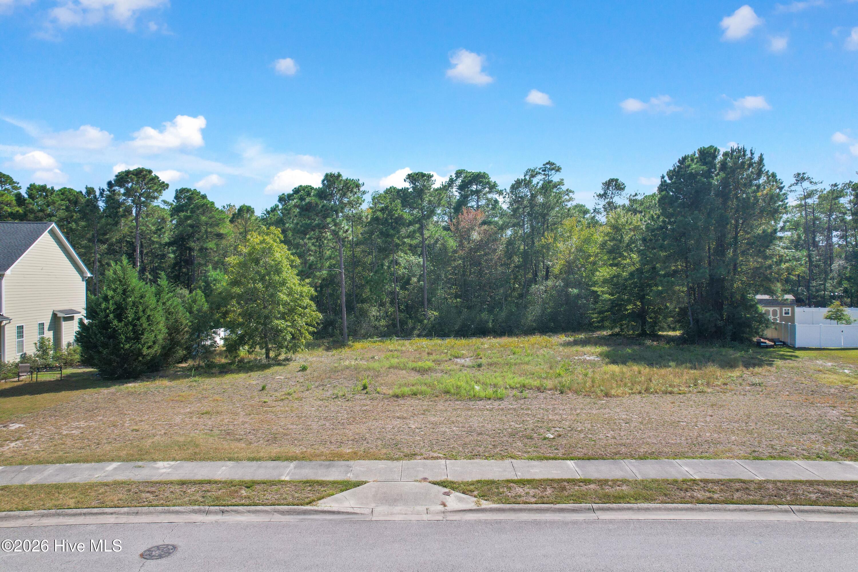 4841 Charter Oak Drive Property Photo 7