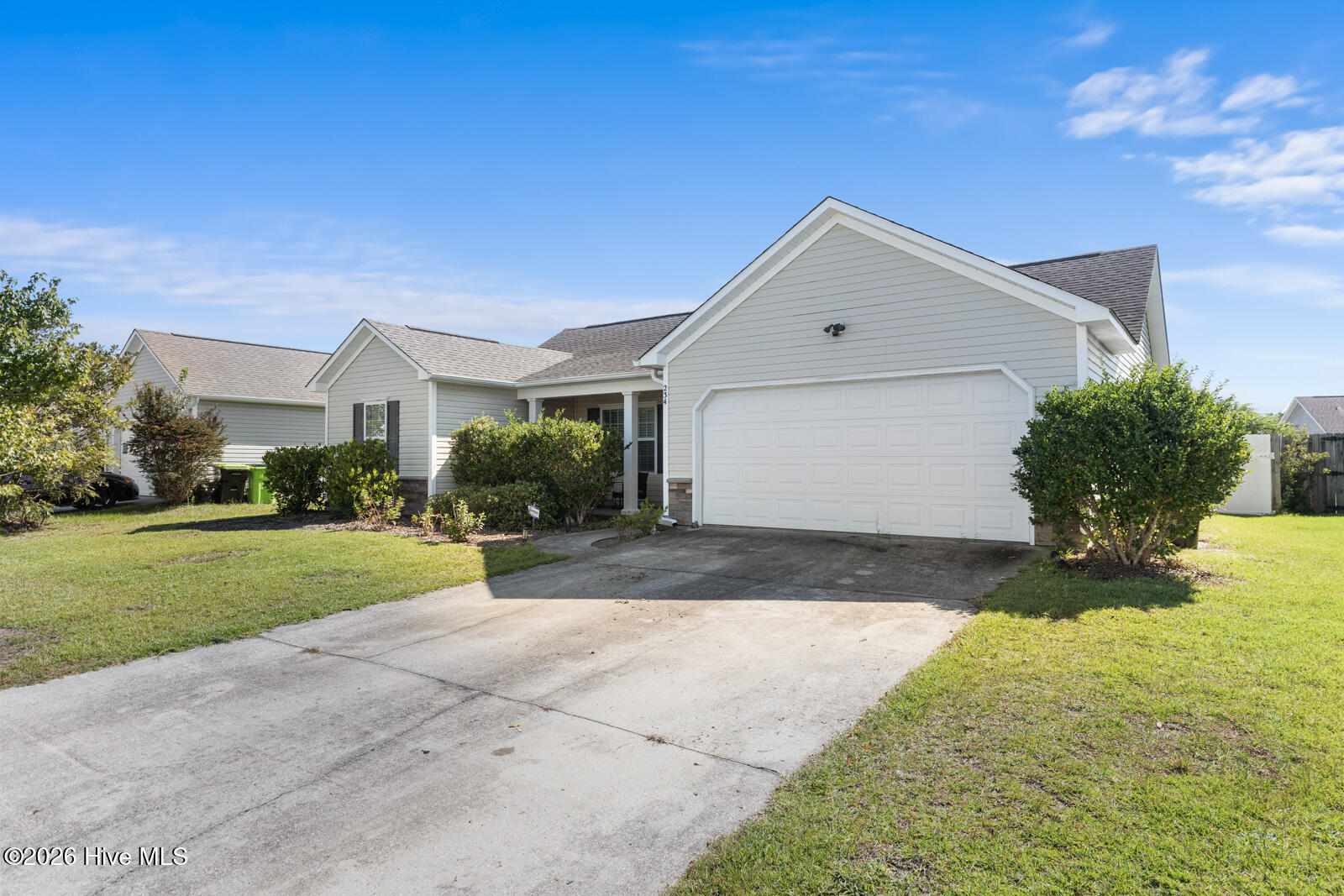 234 Red Carnation Drive Property Photo 3