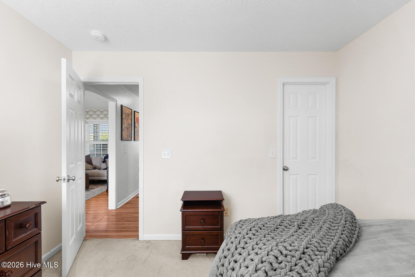234 Red Carnation Drive Property Photo 16