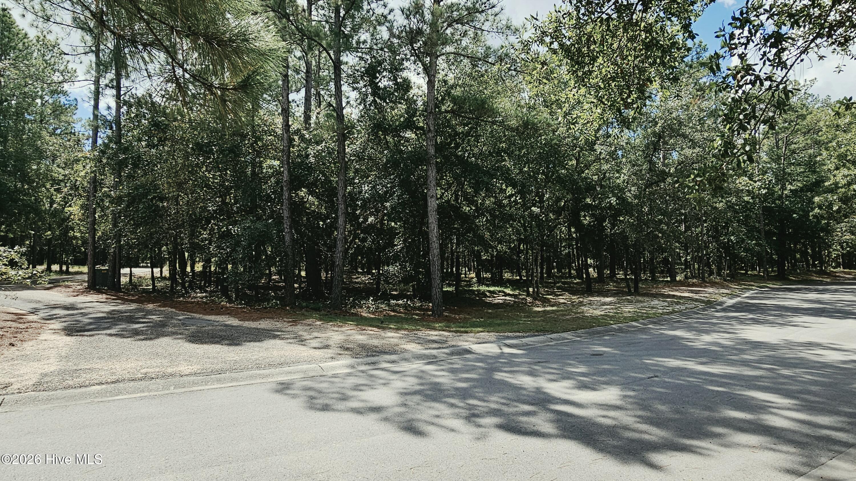 2907 Lot 127 Property Photo 2