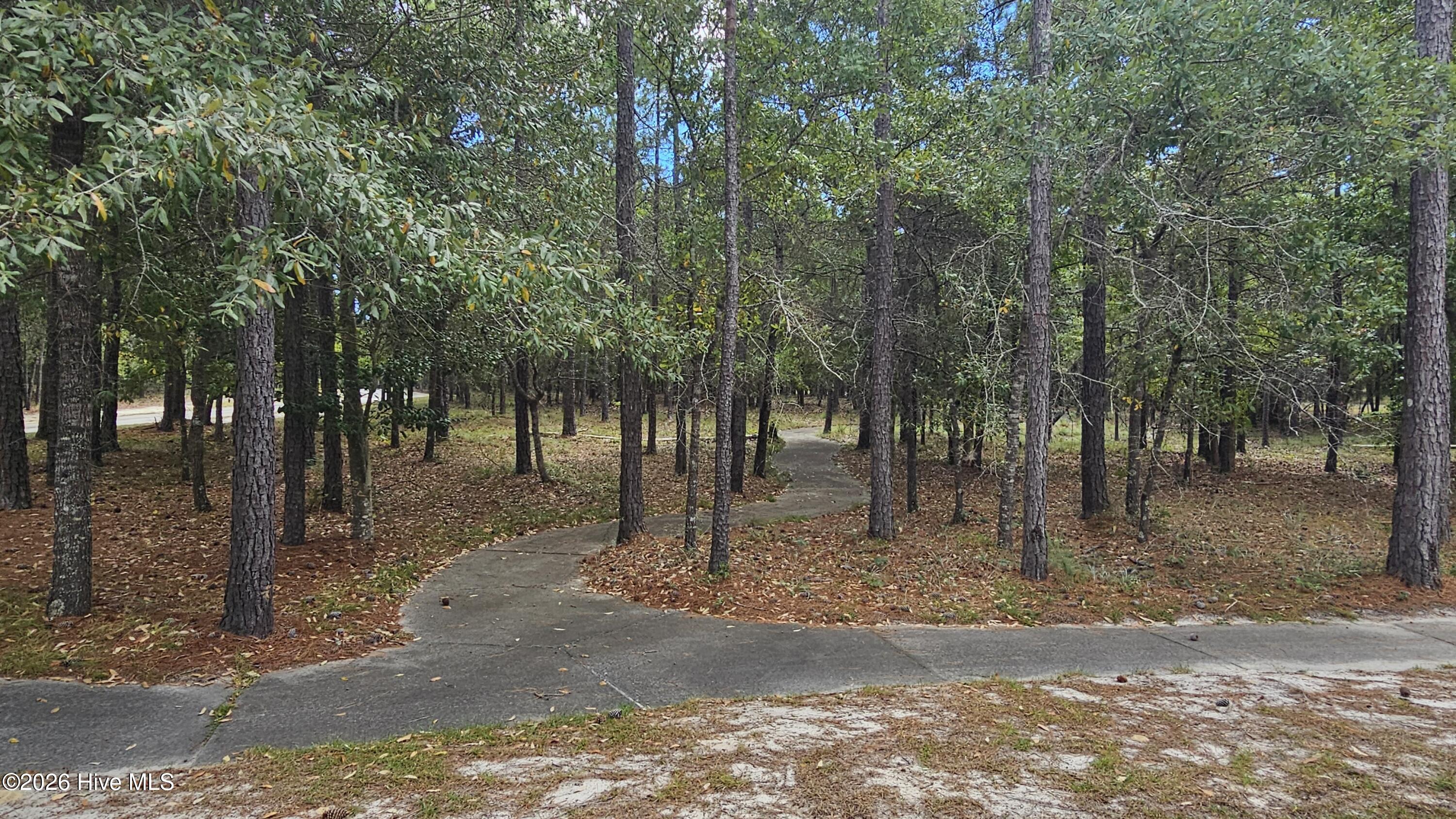 2907 Lot 127 Property Photo 28