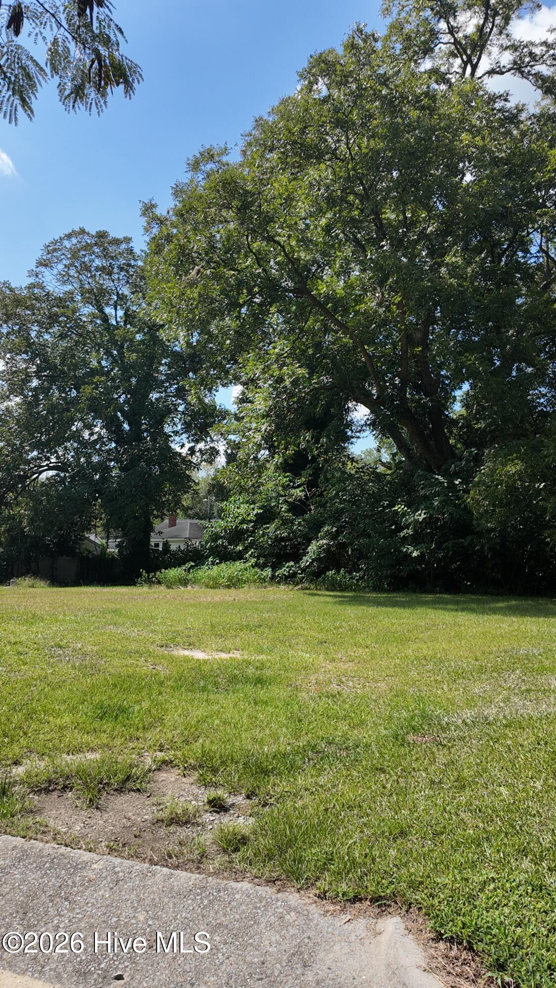 308 Short Street Property Photo 1