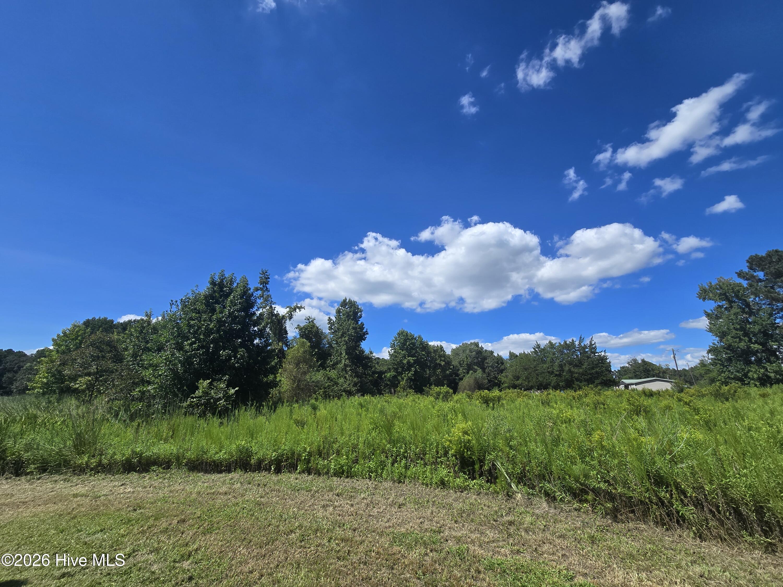 3223 Chandler Road Property Photo 13