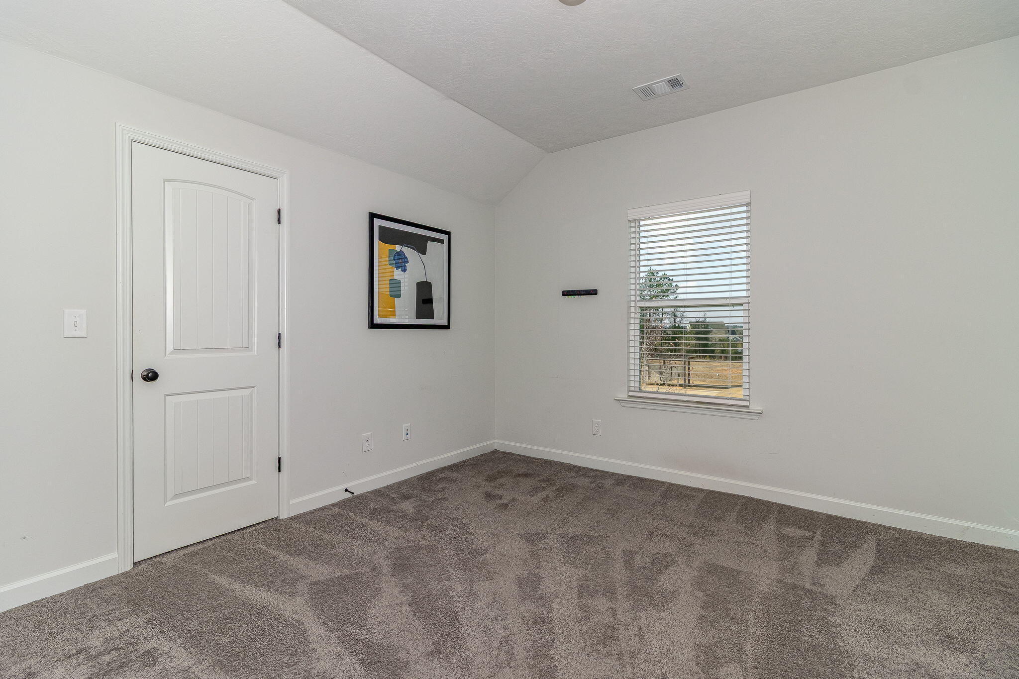 115 Dublin Loop Property Photo 46