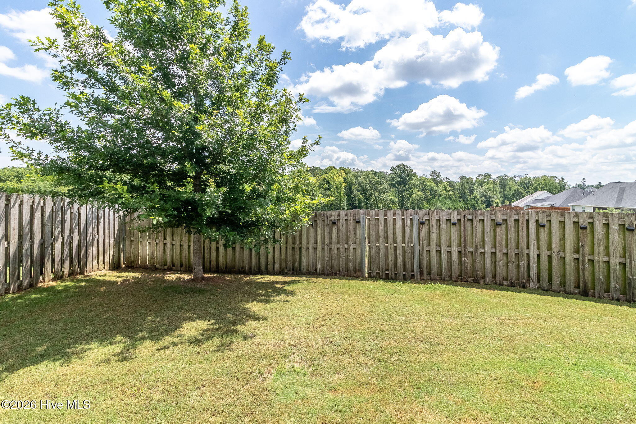 115 Dublin Loop Property Photo 62
