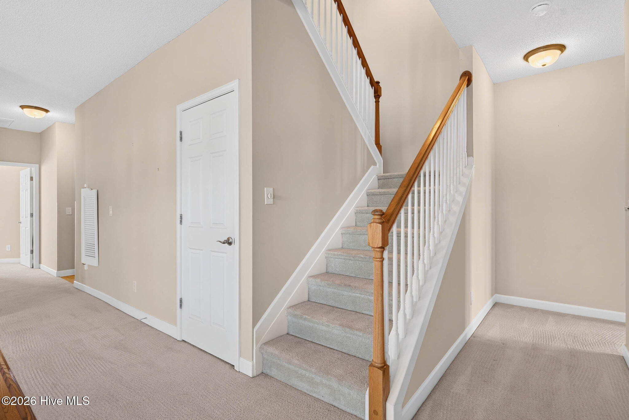 1008 Cypress Springs Court Property Photo 3