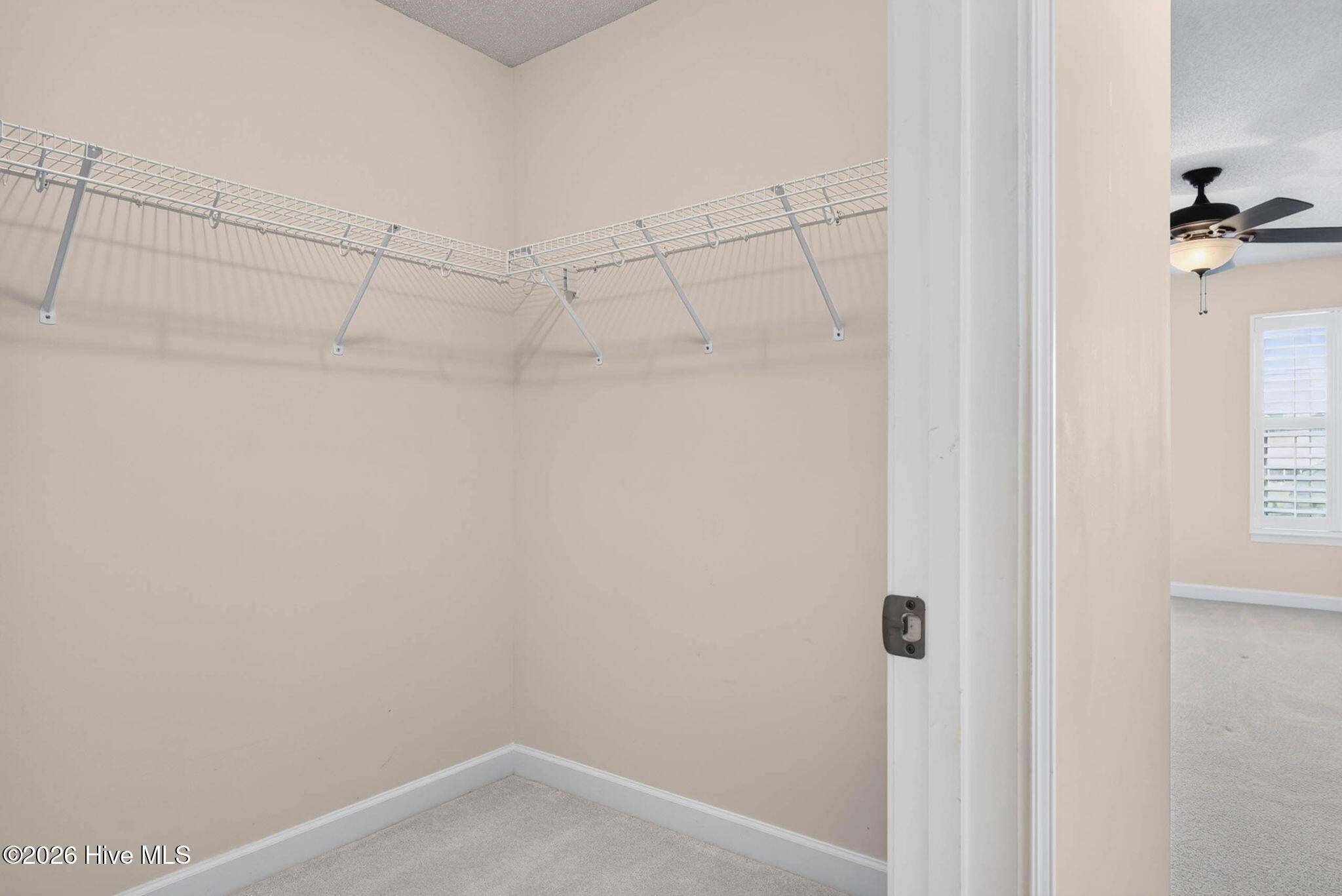 1008 Cypress Springs Court Property Photo 21