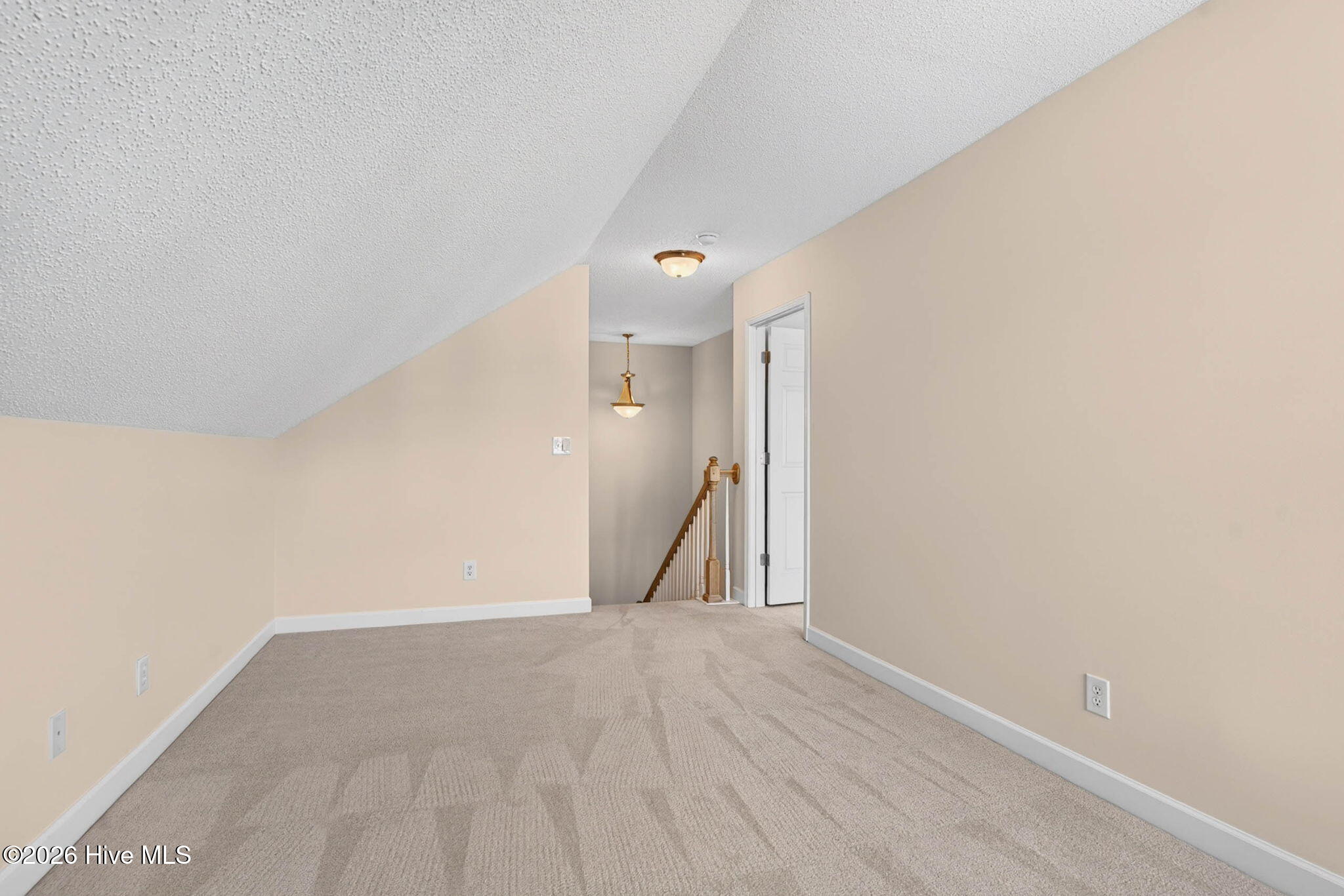 1008 Cypress Springs Court Property Photo 28