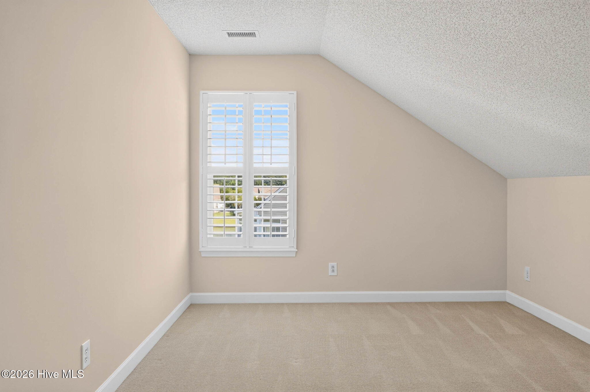 1008 Cypress Springs Court Property Photo 29