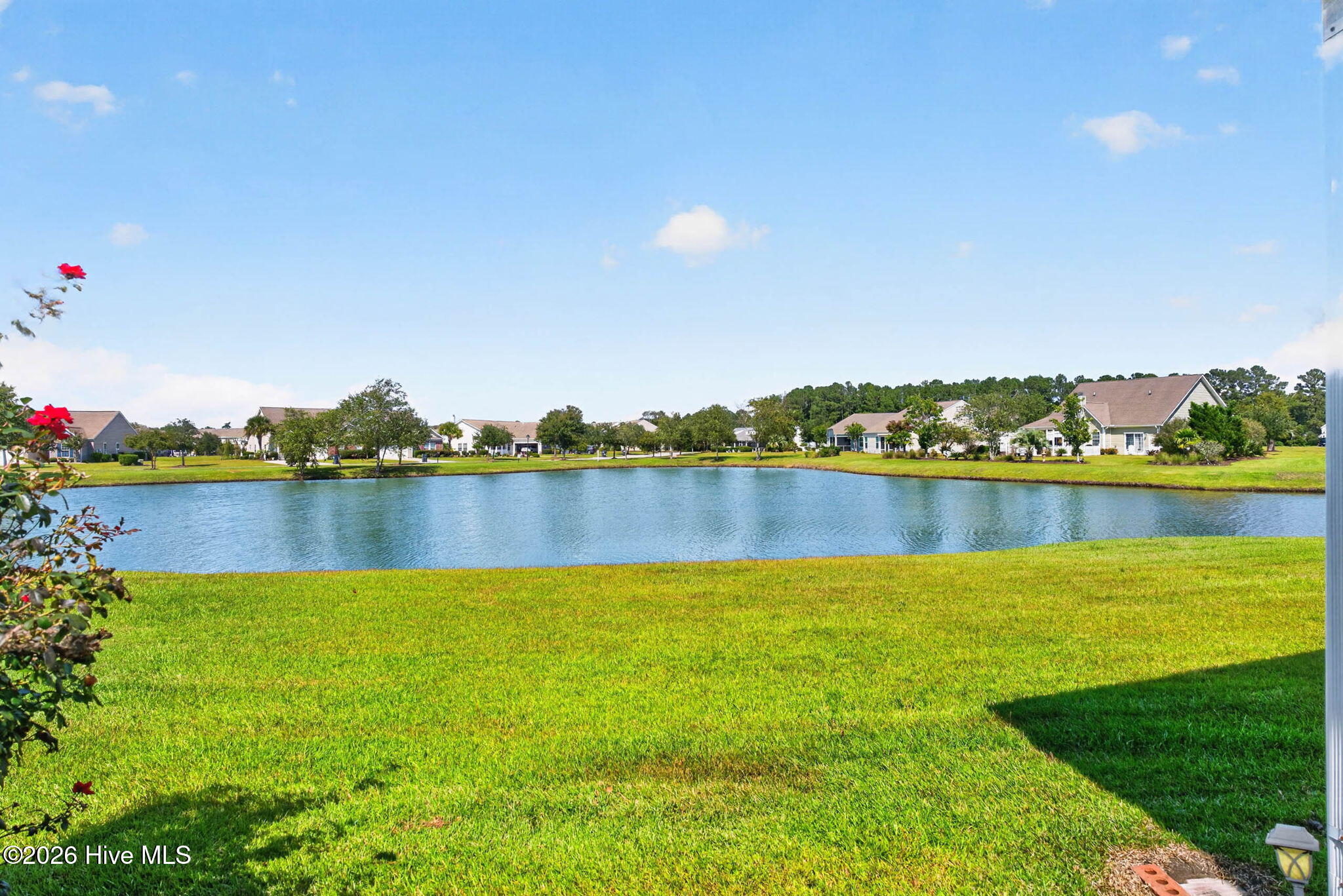 1008 Cypress Springs Court Property Photo 37