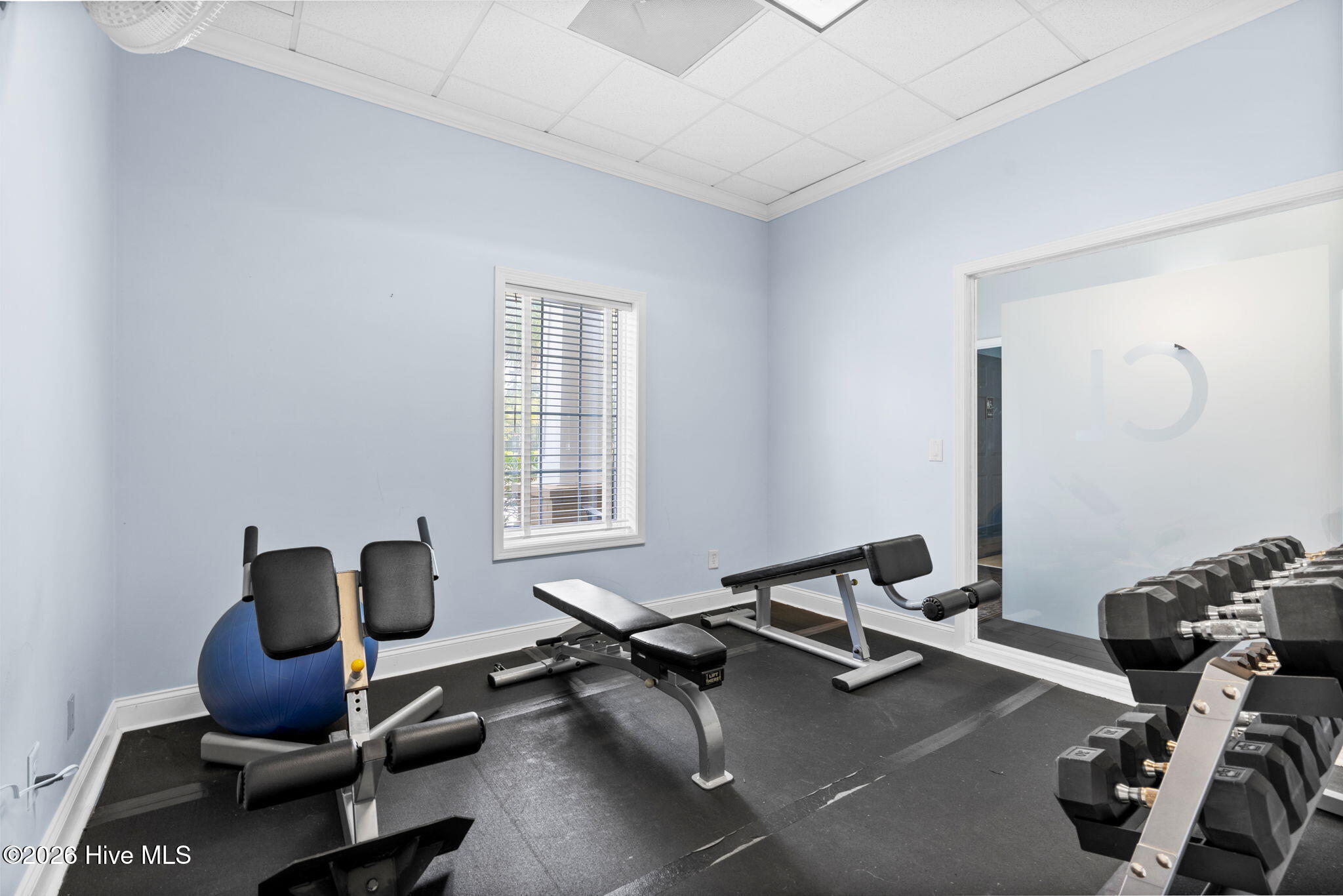 1008 Cypress Springs Court Property Photo 46