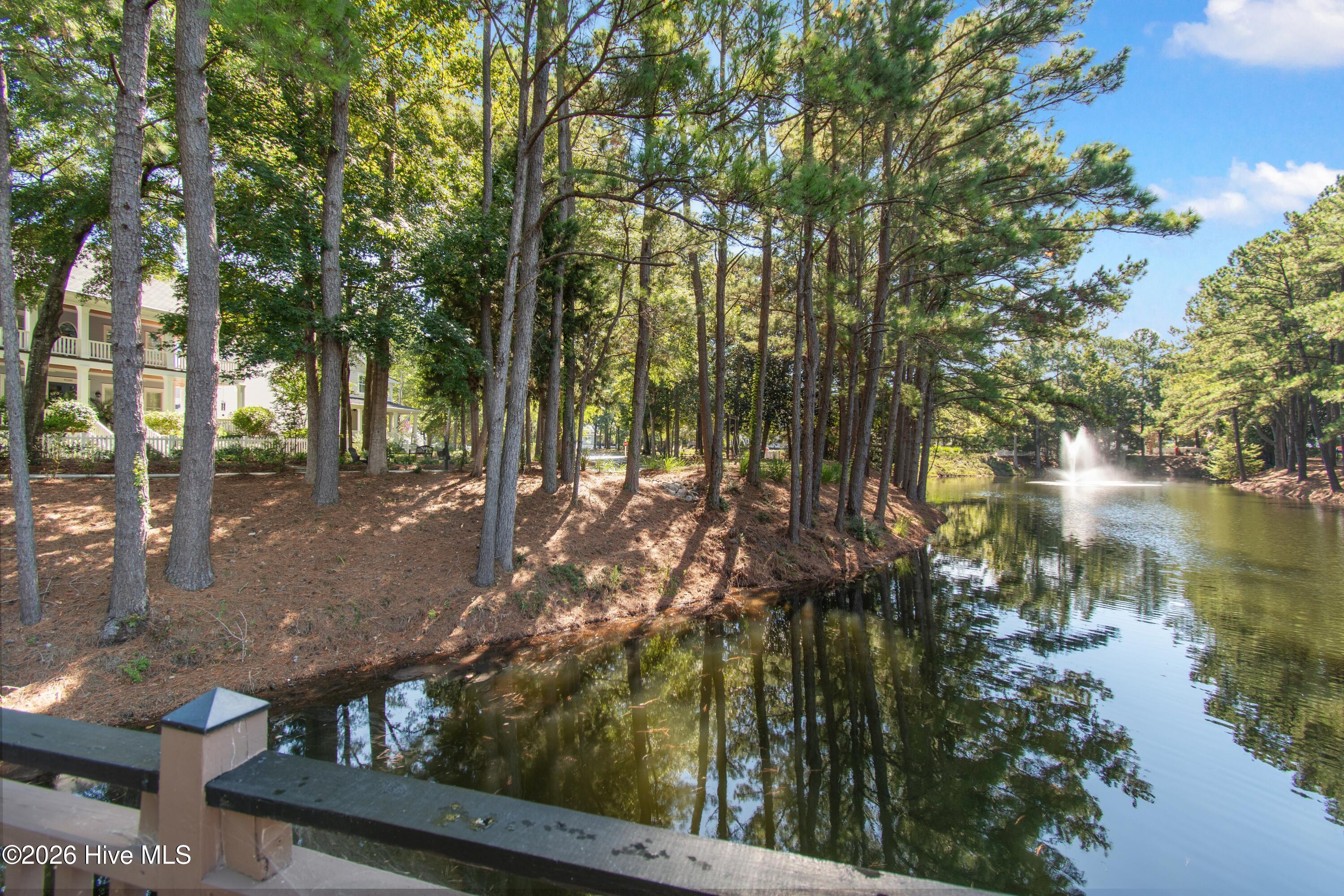 9196 Horseshoe Lake Road Sw Property Photo 61