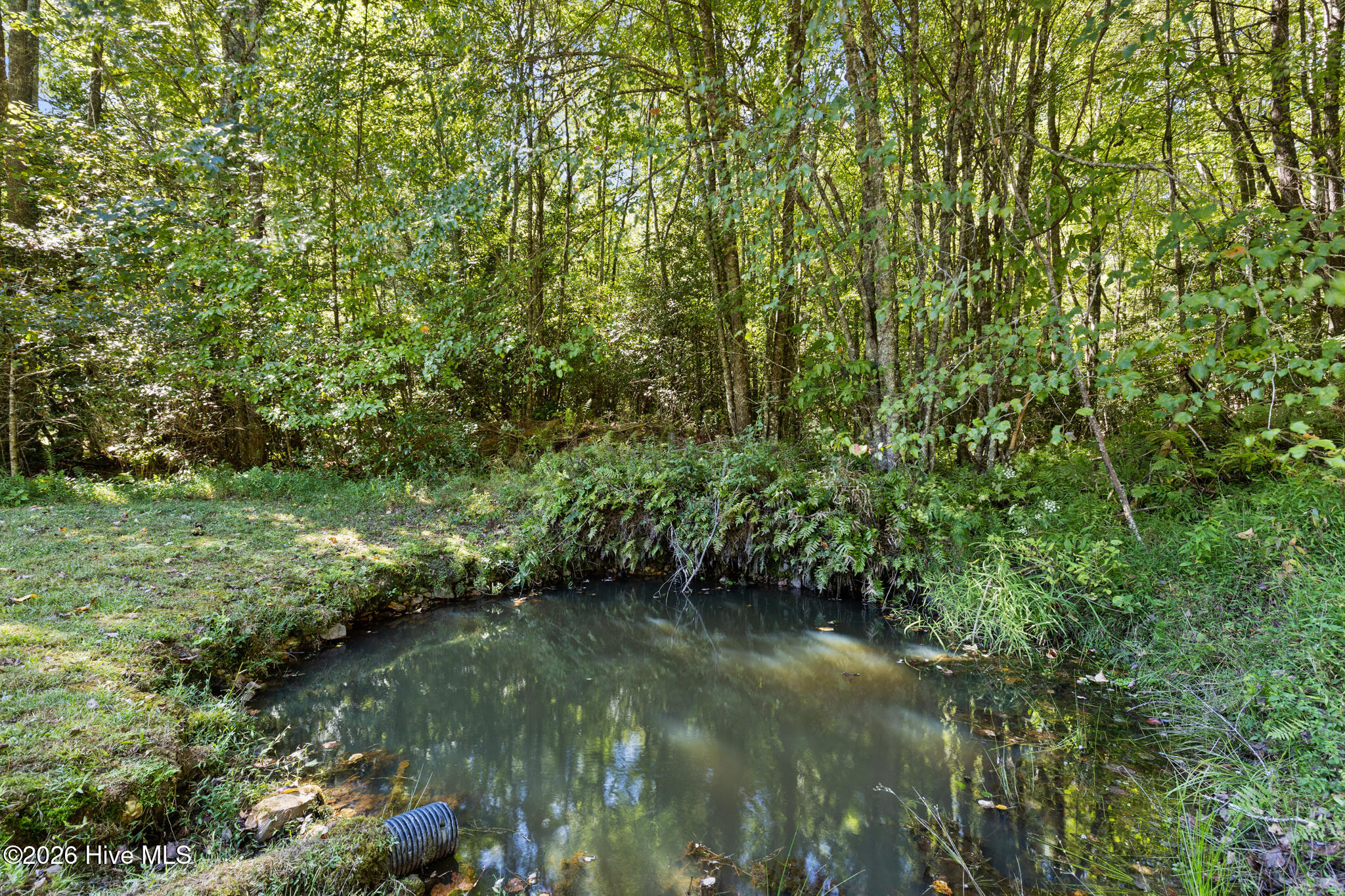 559 Misty River Circle Property Photo 33