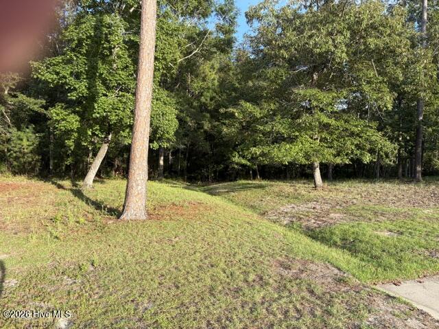 1579 S2-19r Golden Marsh Court Se Property Photo 2