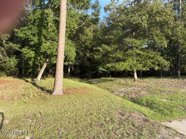 1579 S2-19r Golden Marsh Court Se Property Photo 3
