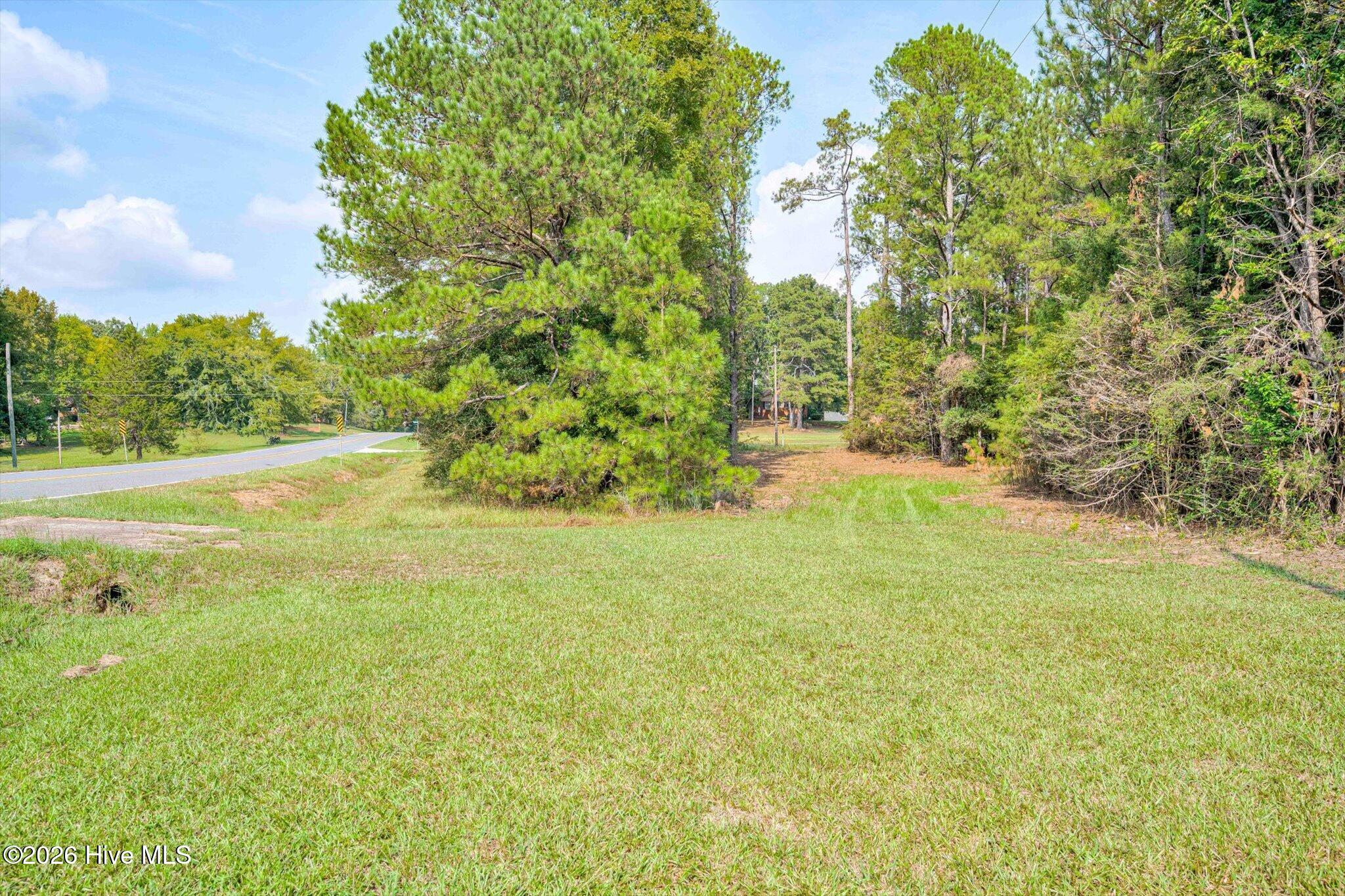 0 Washington Highway Property Photo 2