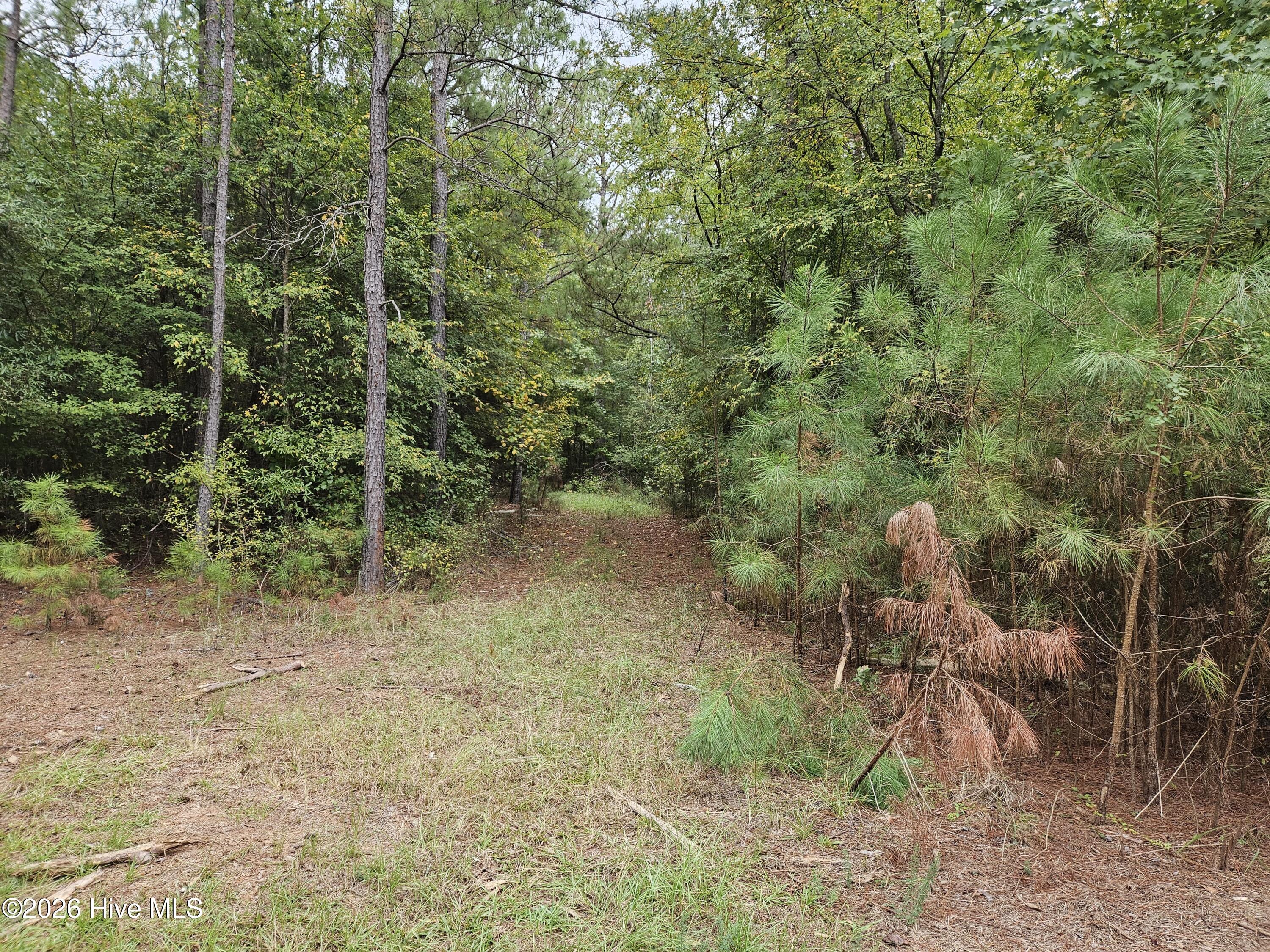 0 Washington Highway Property Photo 3