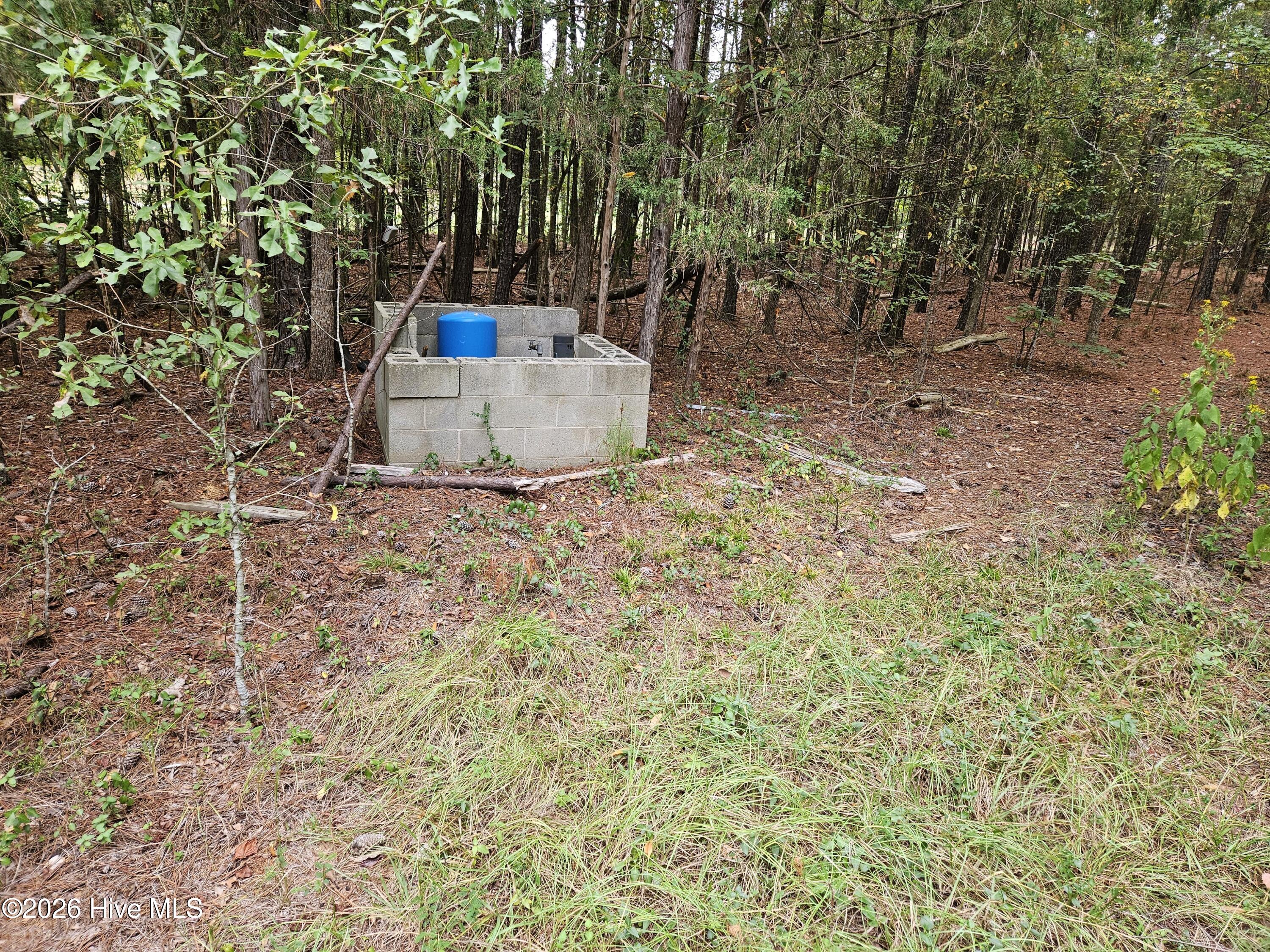 0 Washington Highway Property Photo 4