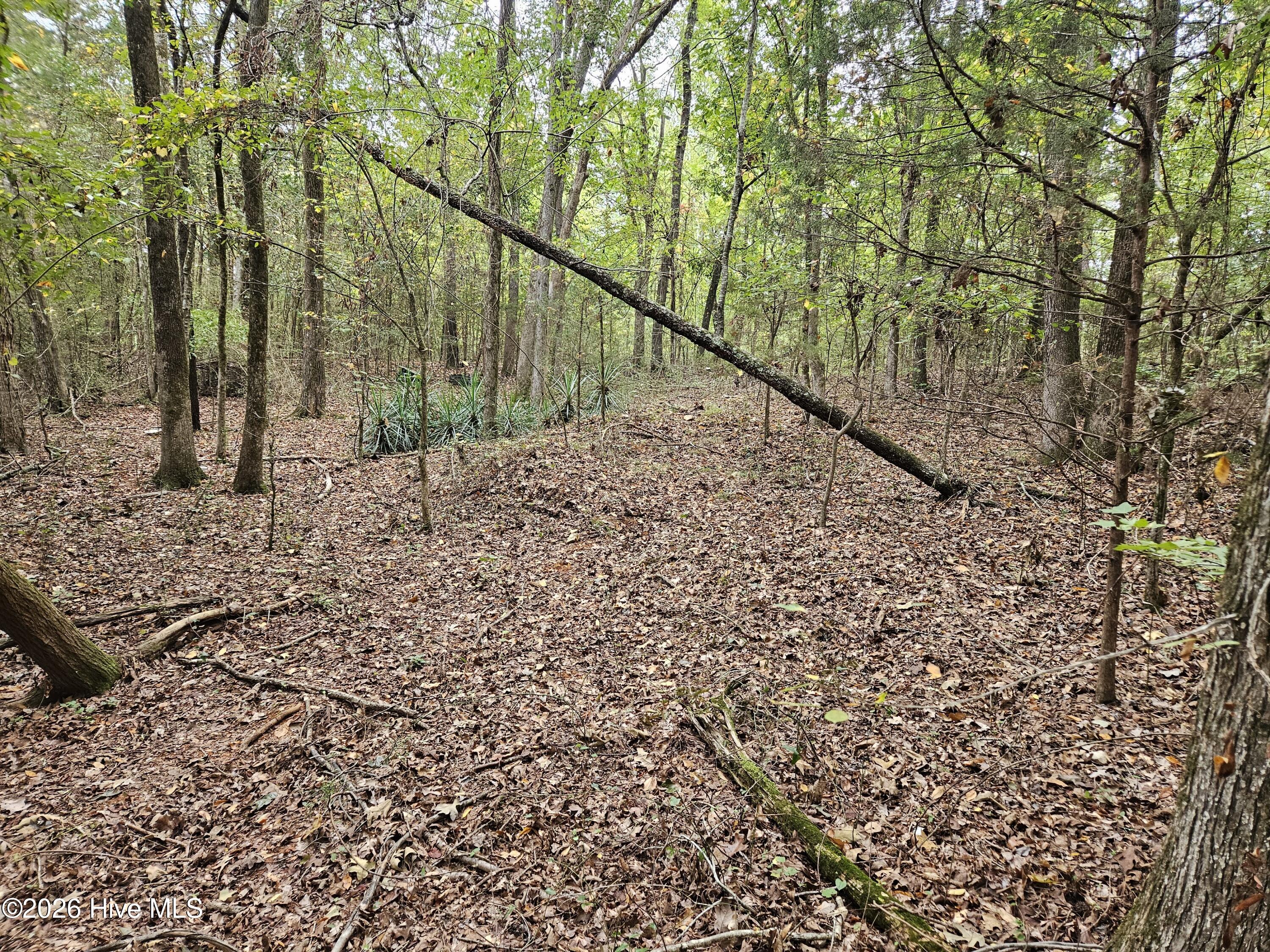 0 Washington Highway Property Photo 6