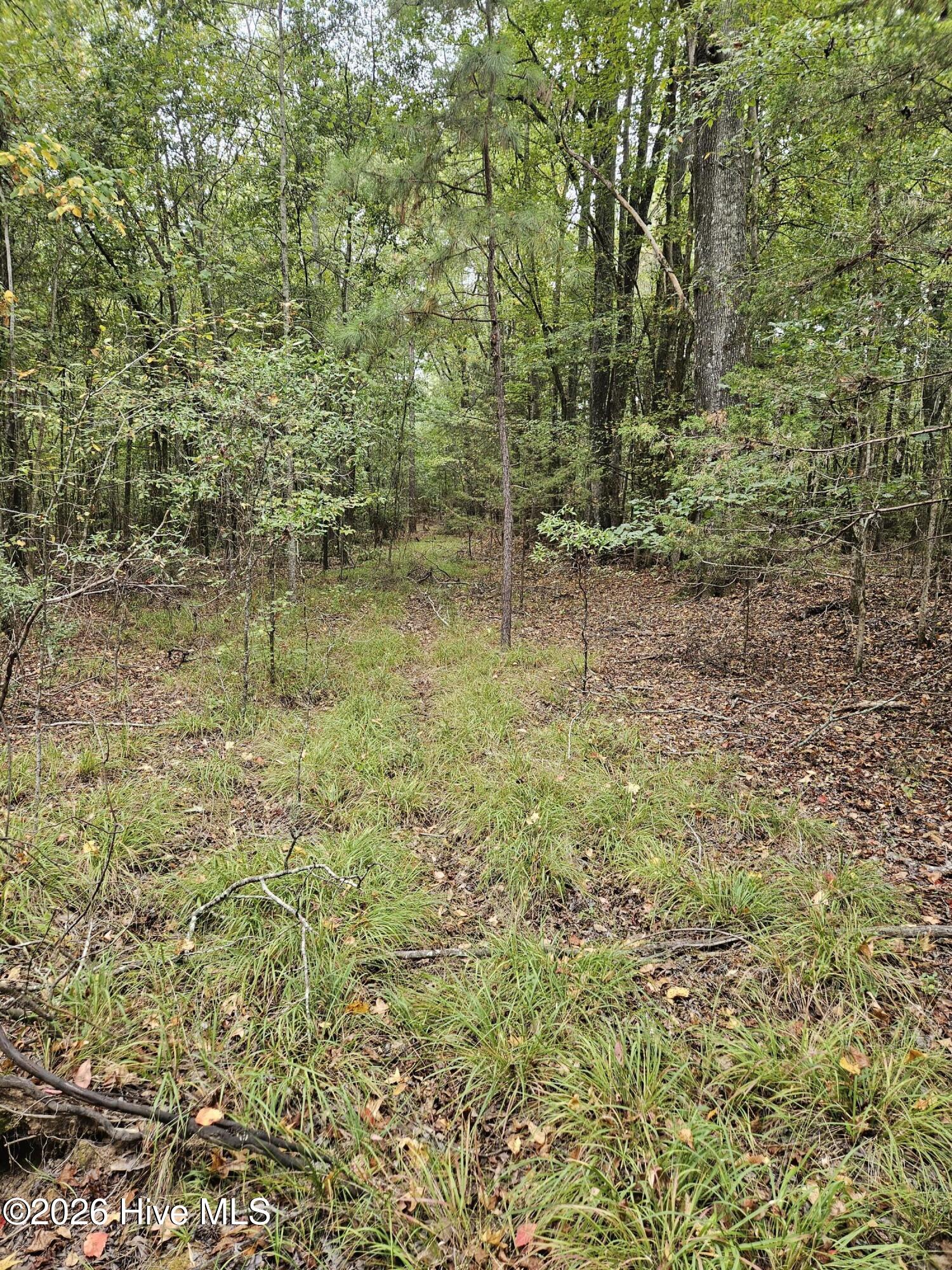 0 Washington Highway Property Photo 7