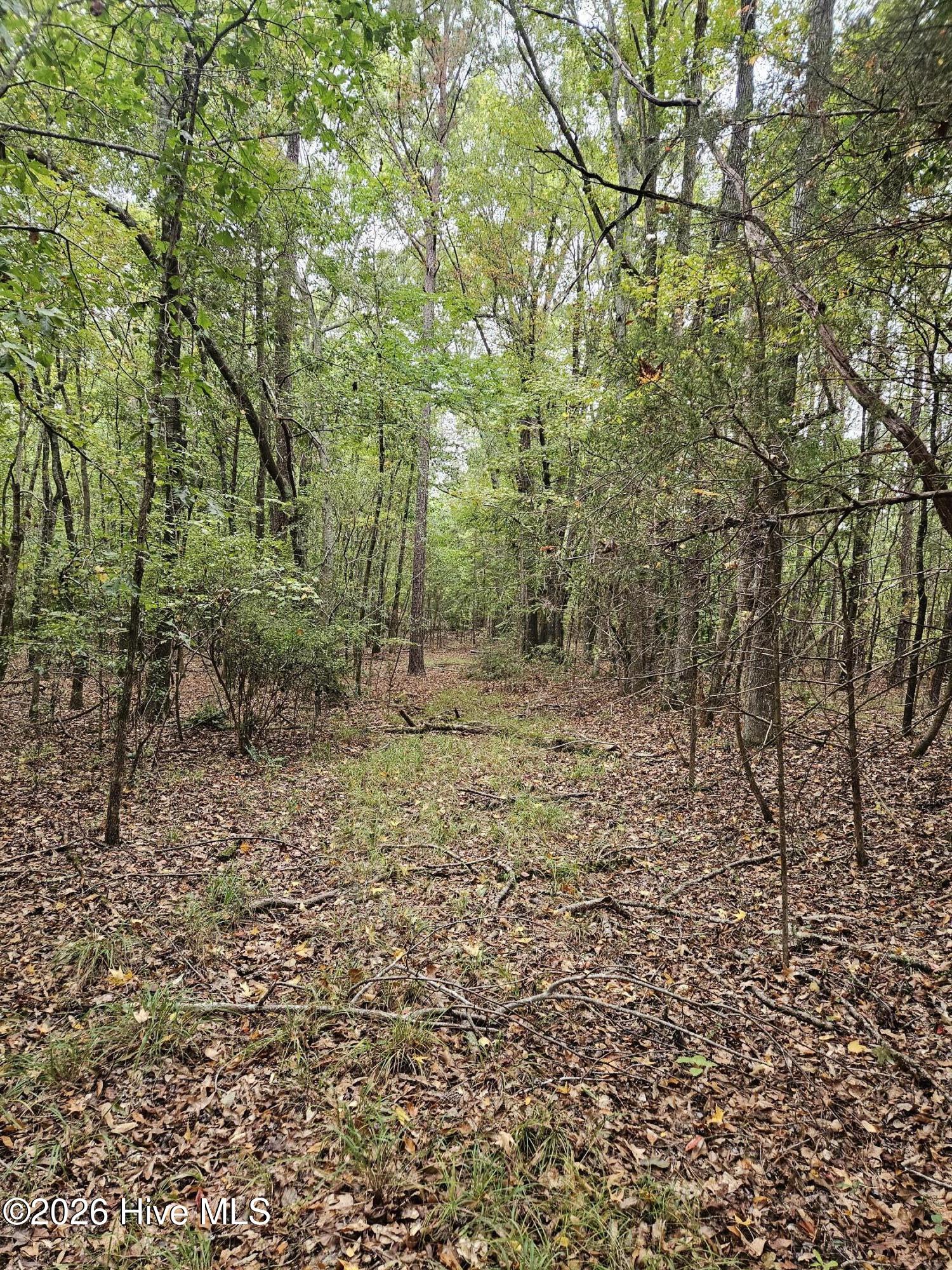 0 Washington Highway Property Photo 8