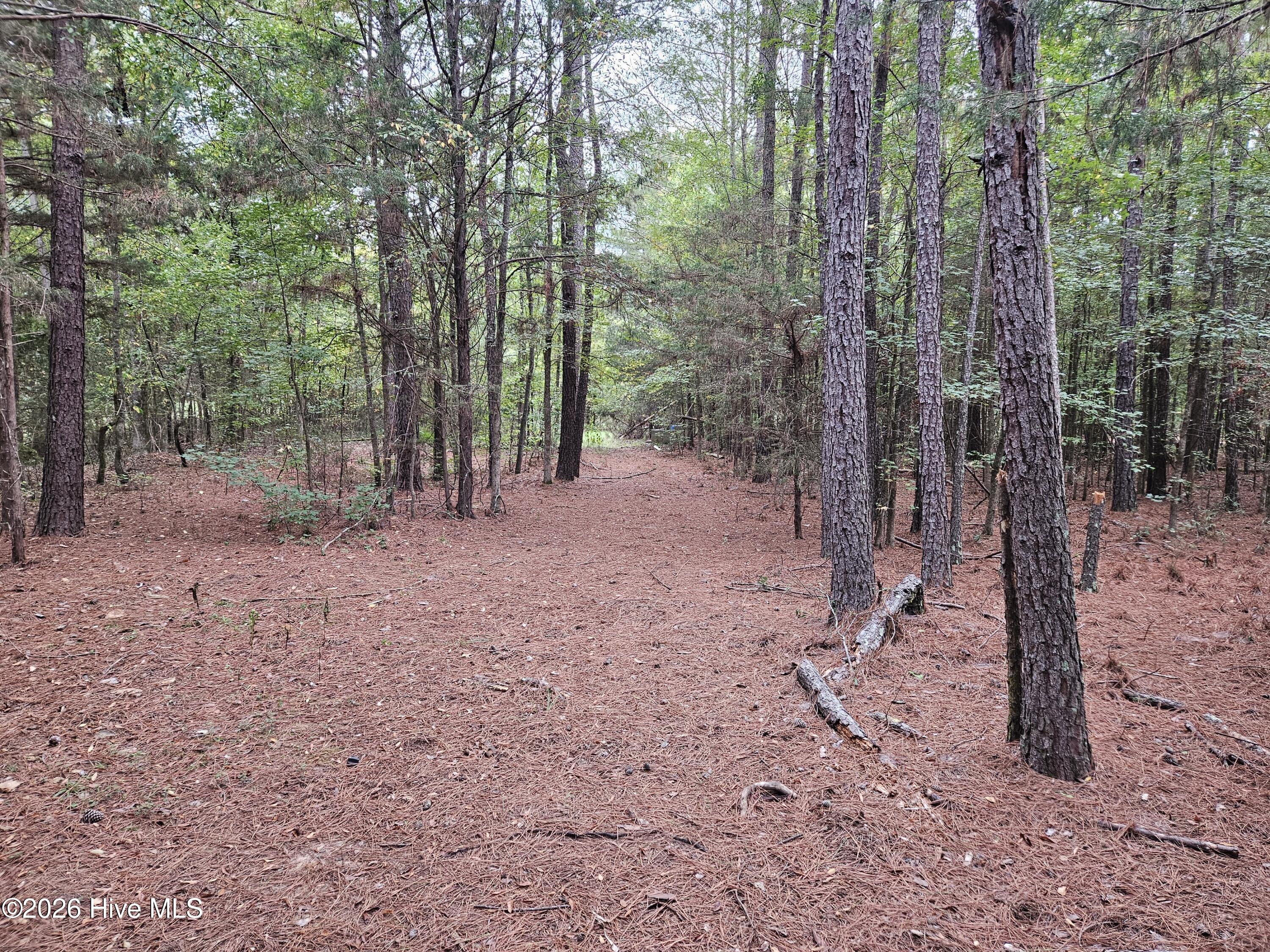 0 Washington Highway Property Photo 9