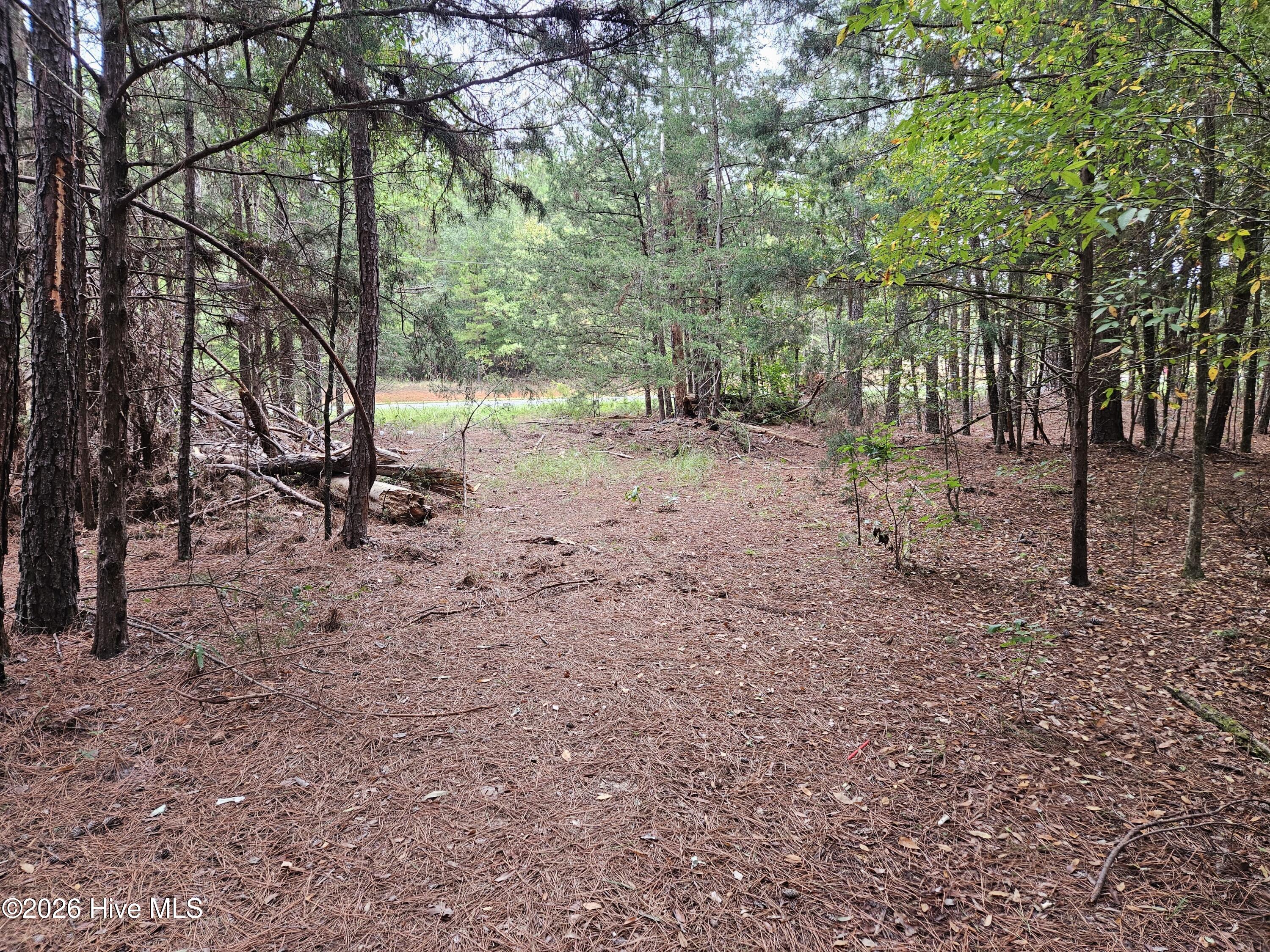 0 Washington Highway Property Photo 10