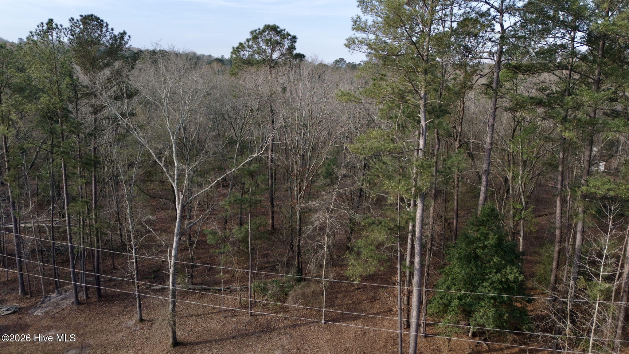 2612 Patterson Bridge Road Property Photo 2