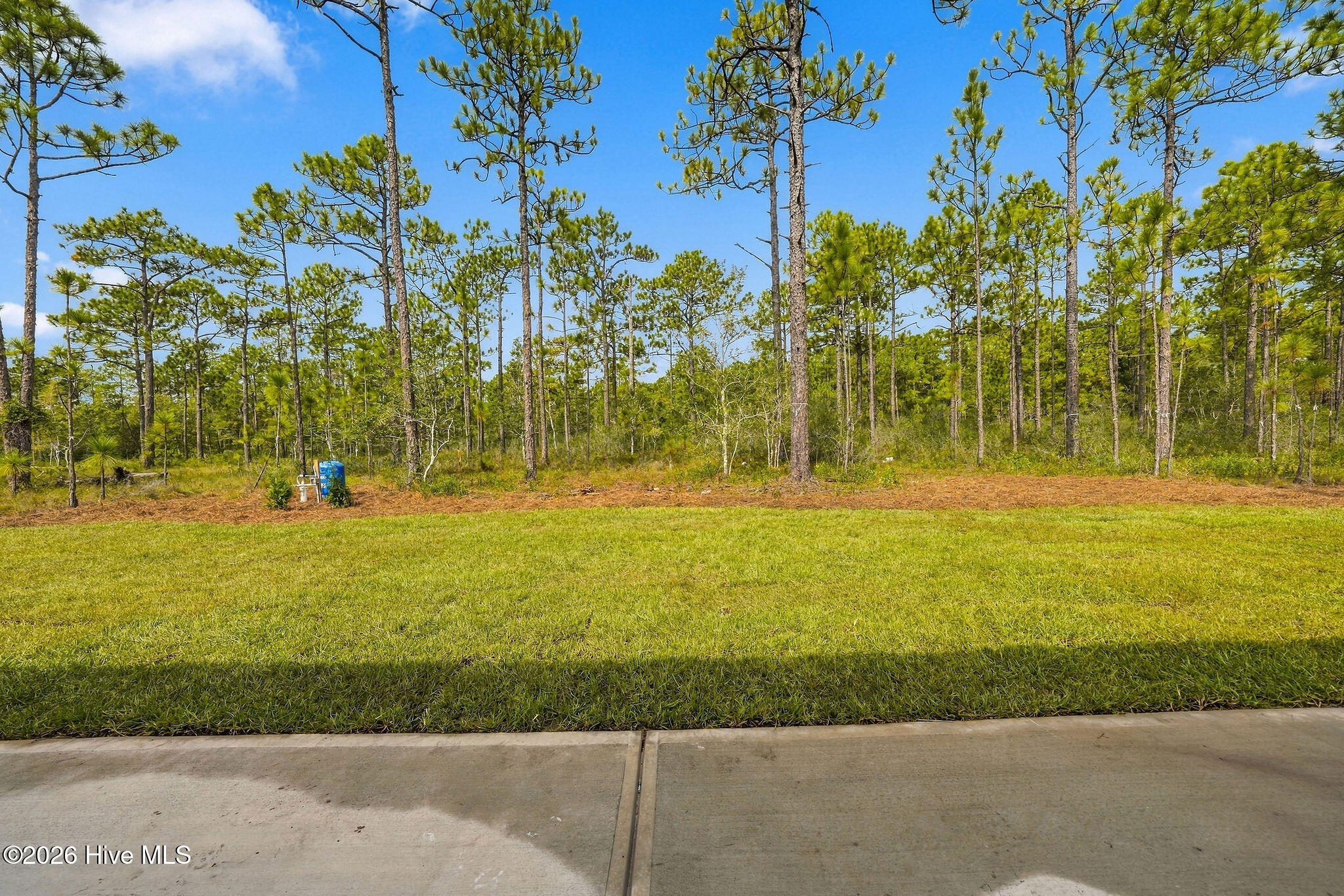 523 Woodhaven Road Property Photo 43