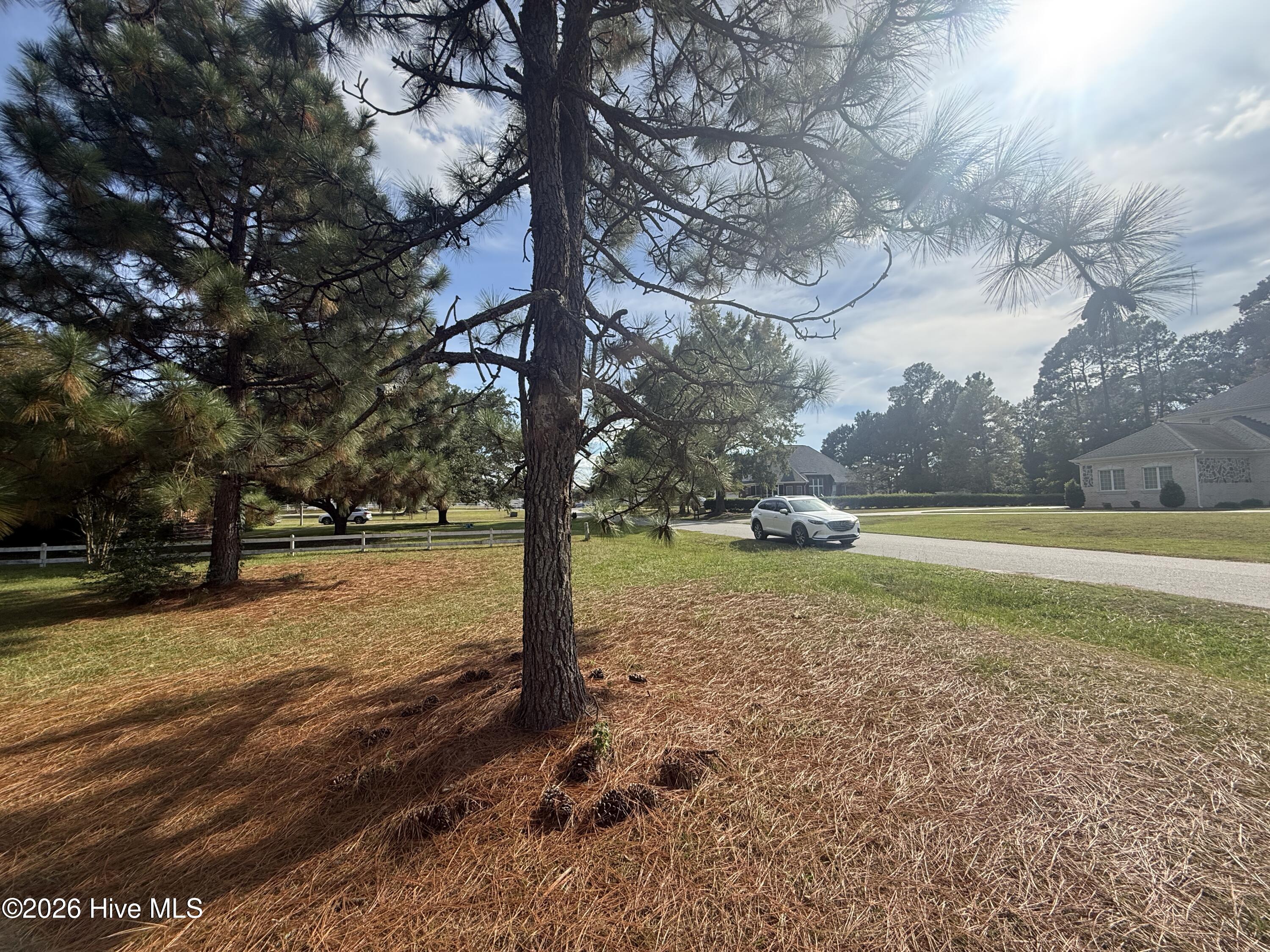 2129 Briarwood Drive Property Photo 4