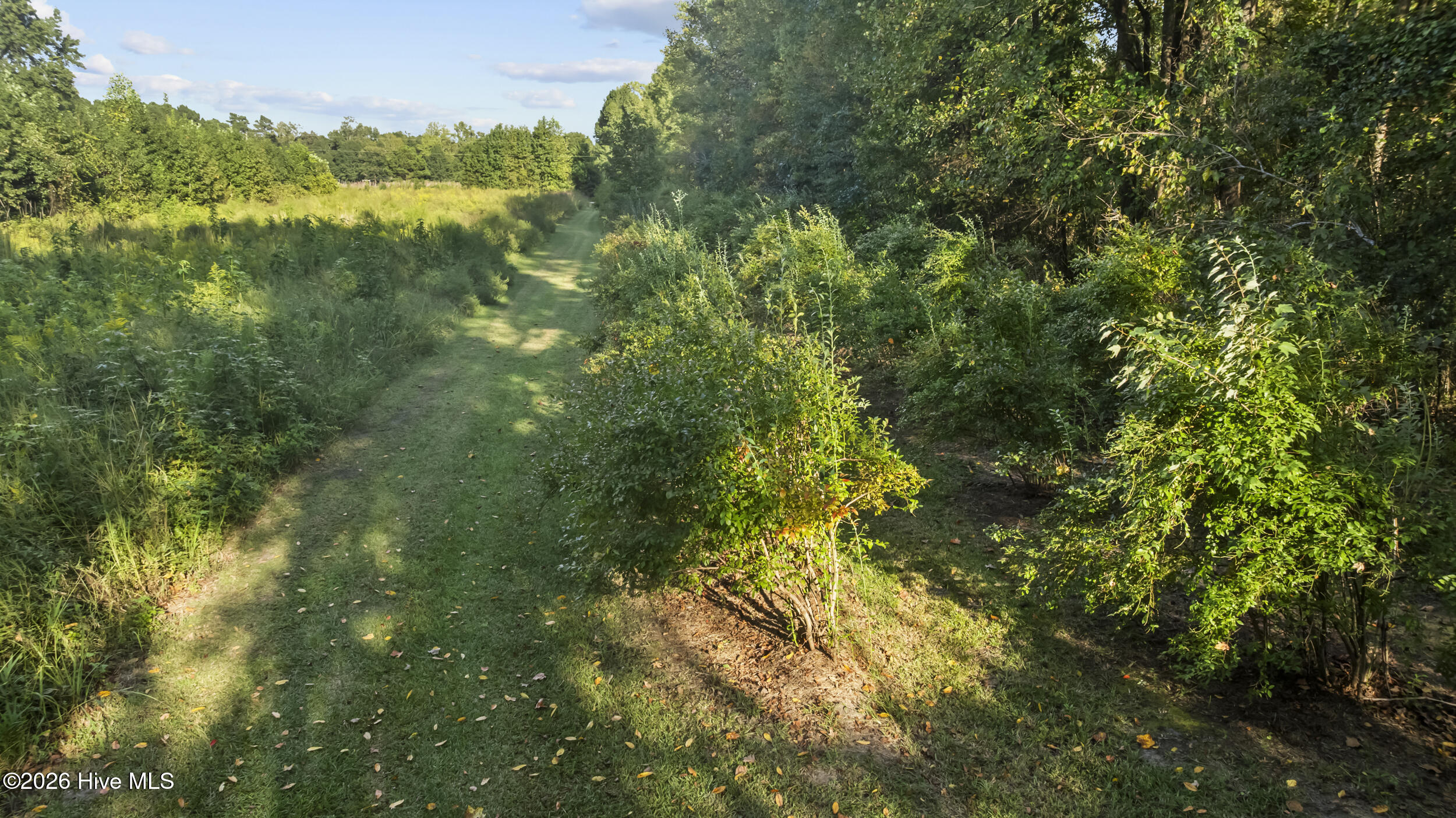 6500 Maggie Hart Lane Property Photo 36