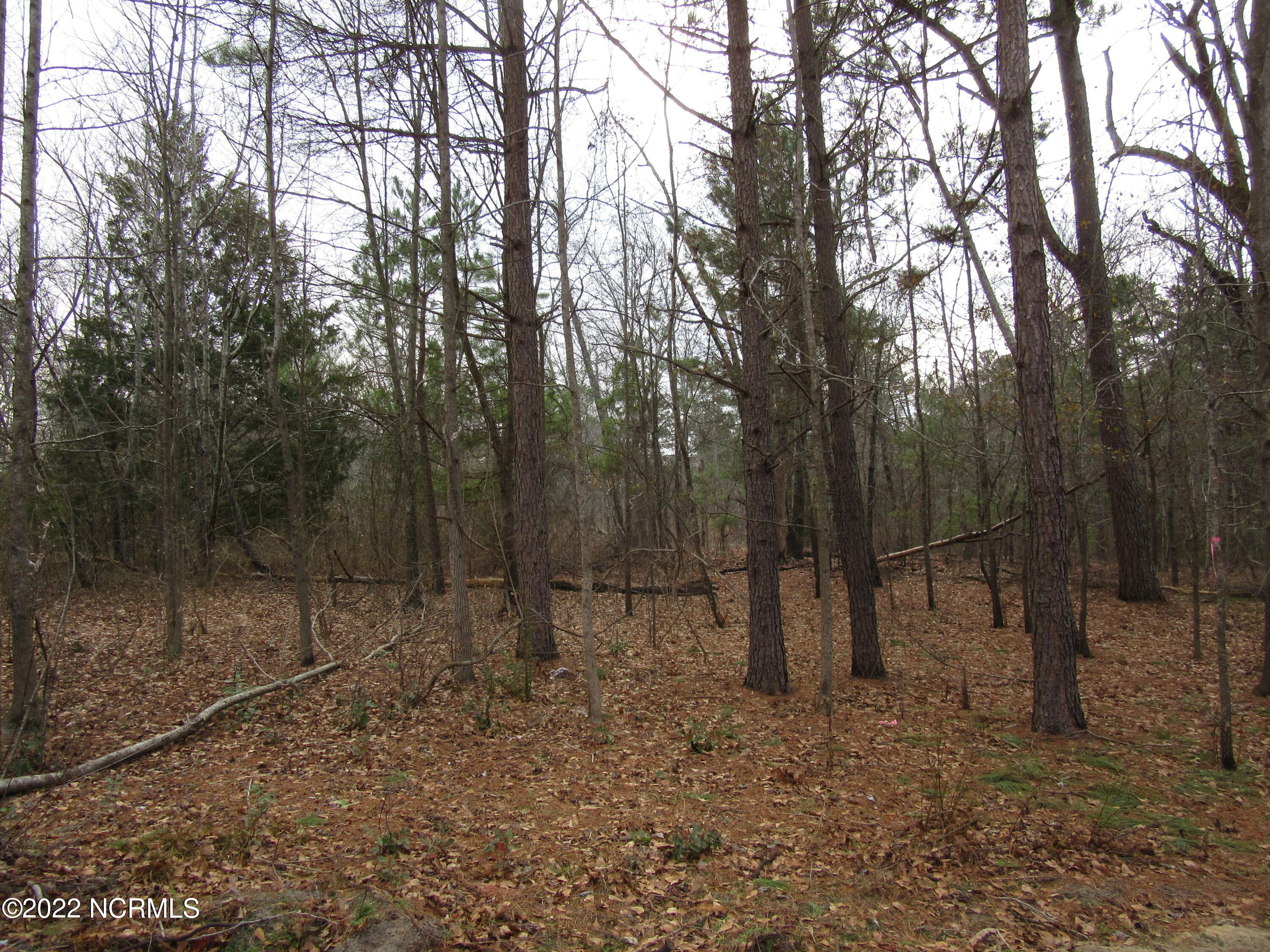 Lot 43& 44 Lakewood Drive Property Photo 1