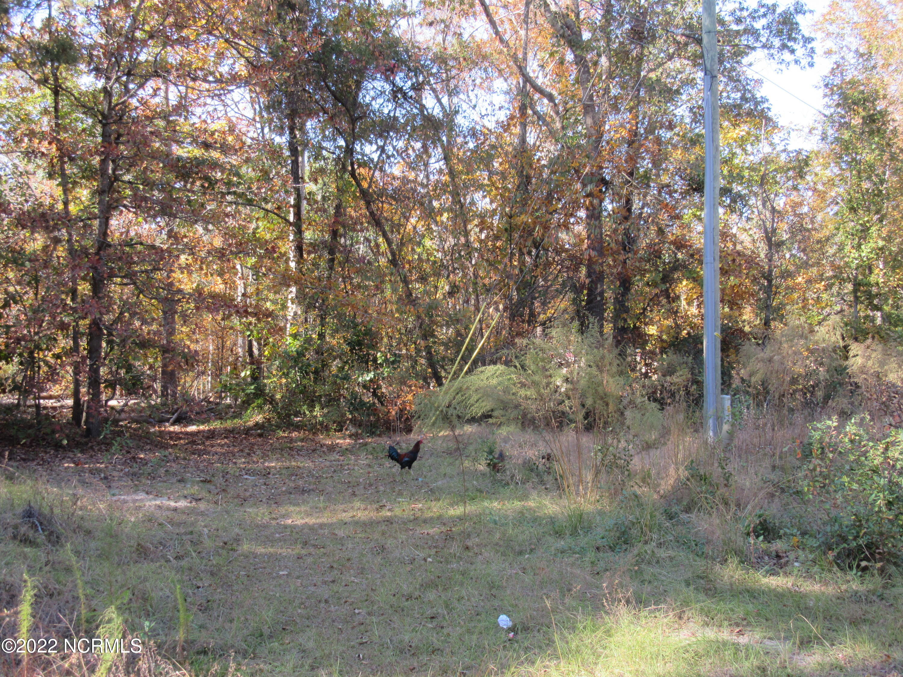 Lot 43& 44 Lakewood Drive Property Photo 2