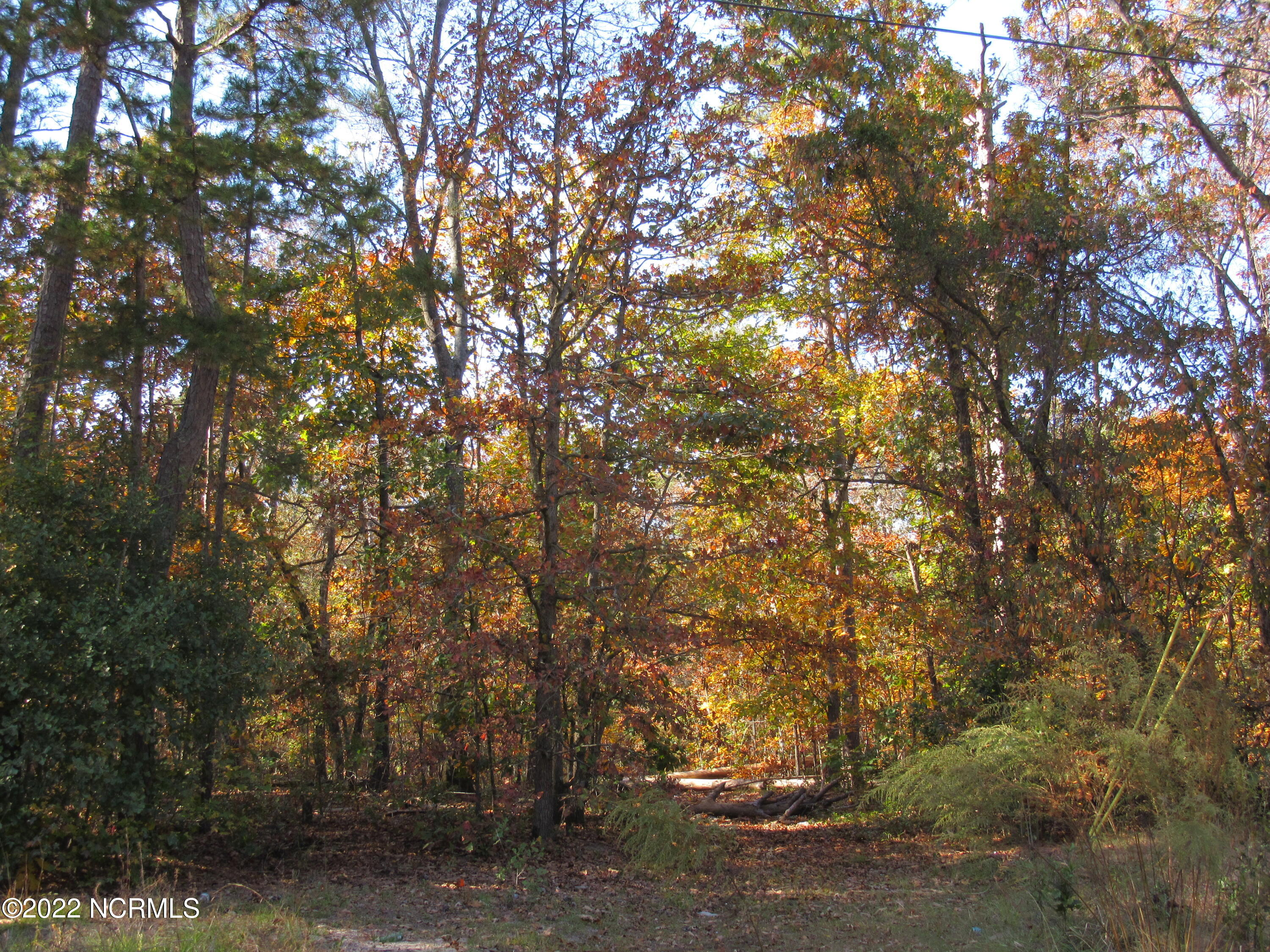 Lot 43& 44 Lakewood Drive Property Photo 3