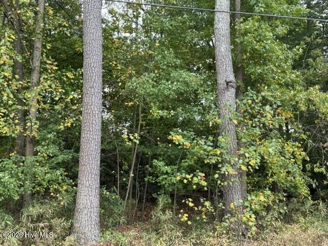 29 S Lakeshore Drive Property Photo 1