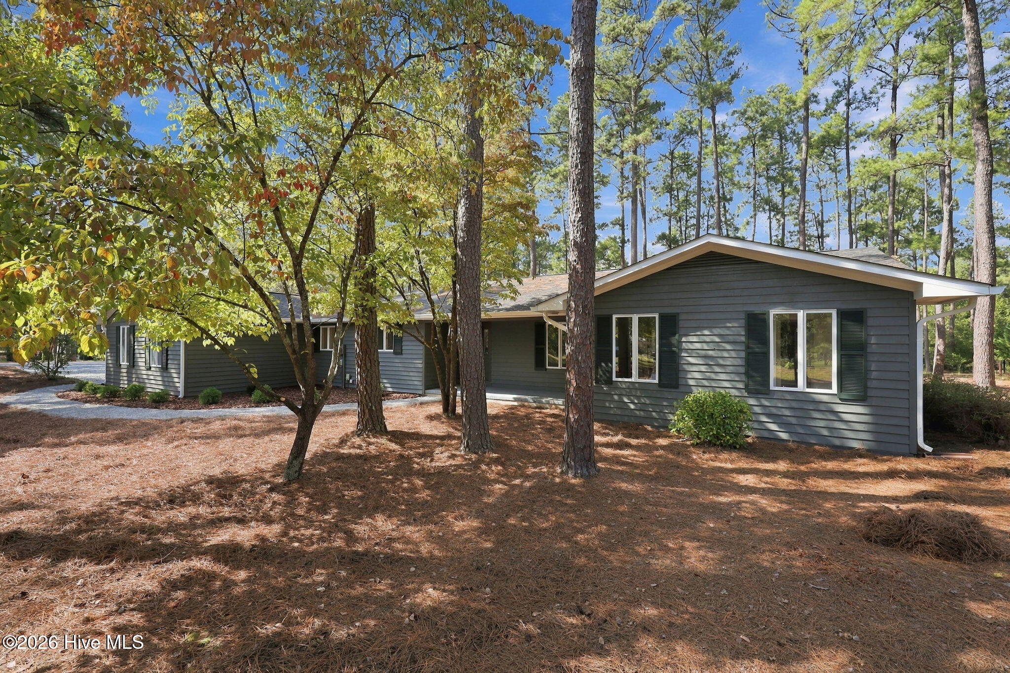84 Richmond Road Property Photo 1