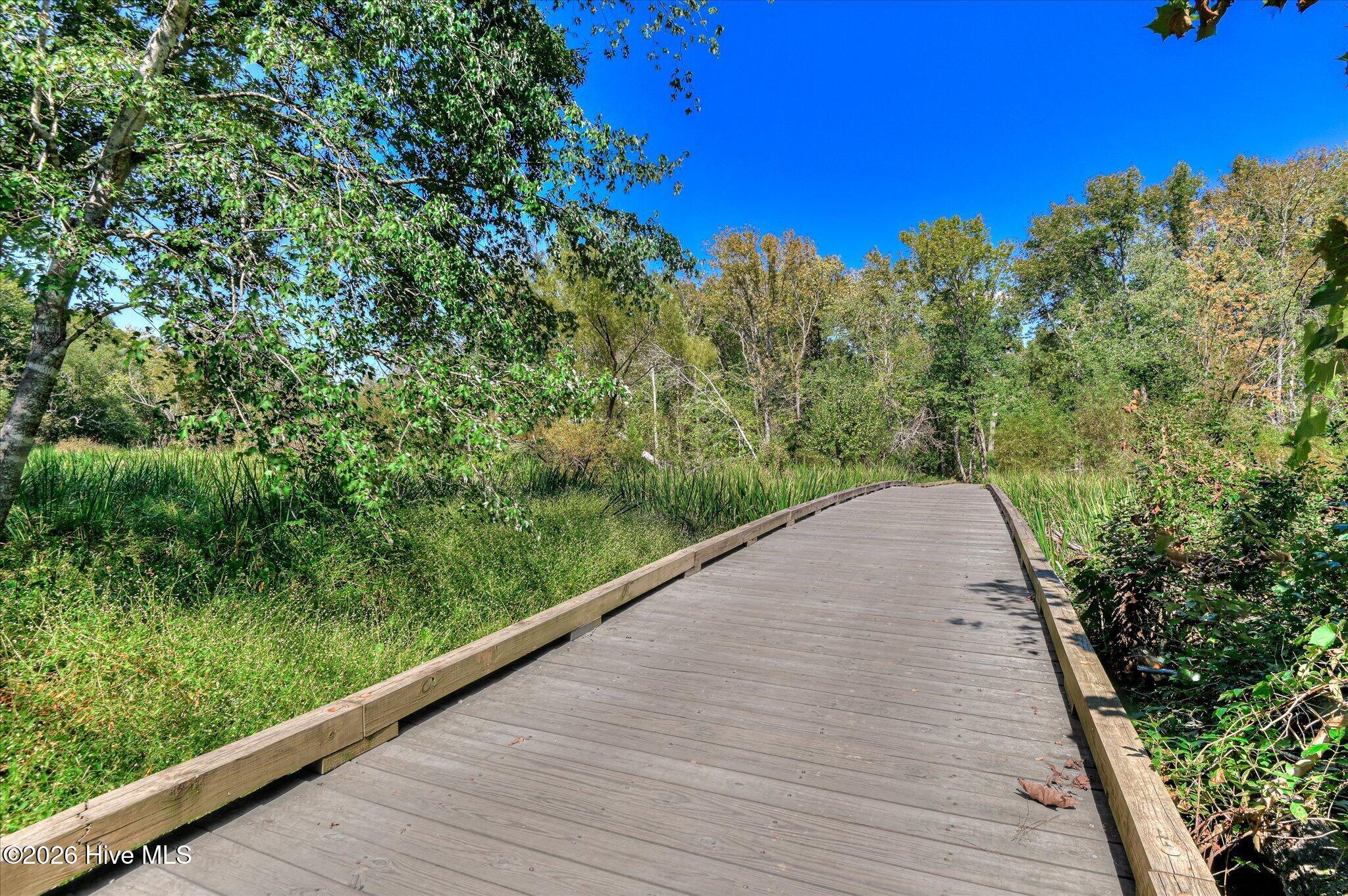 1148 Sumter Landing Circle Property Photo 72