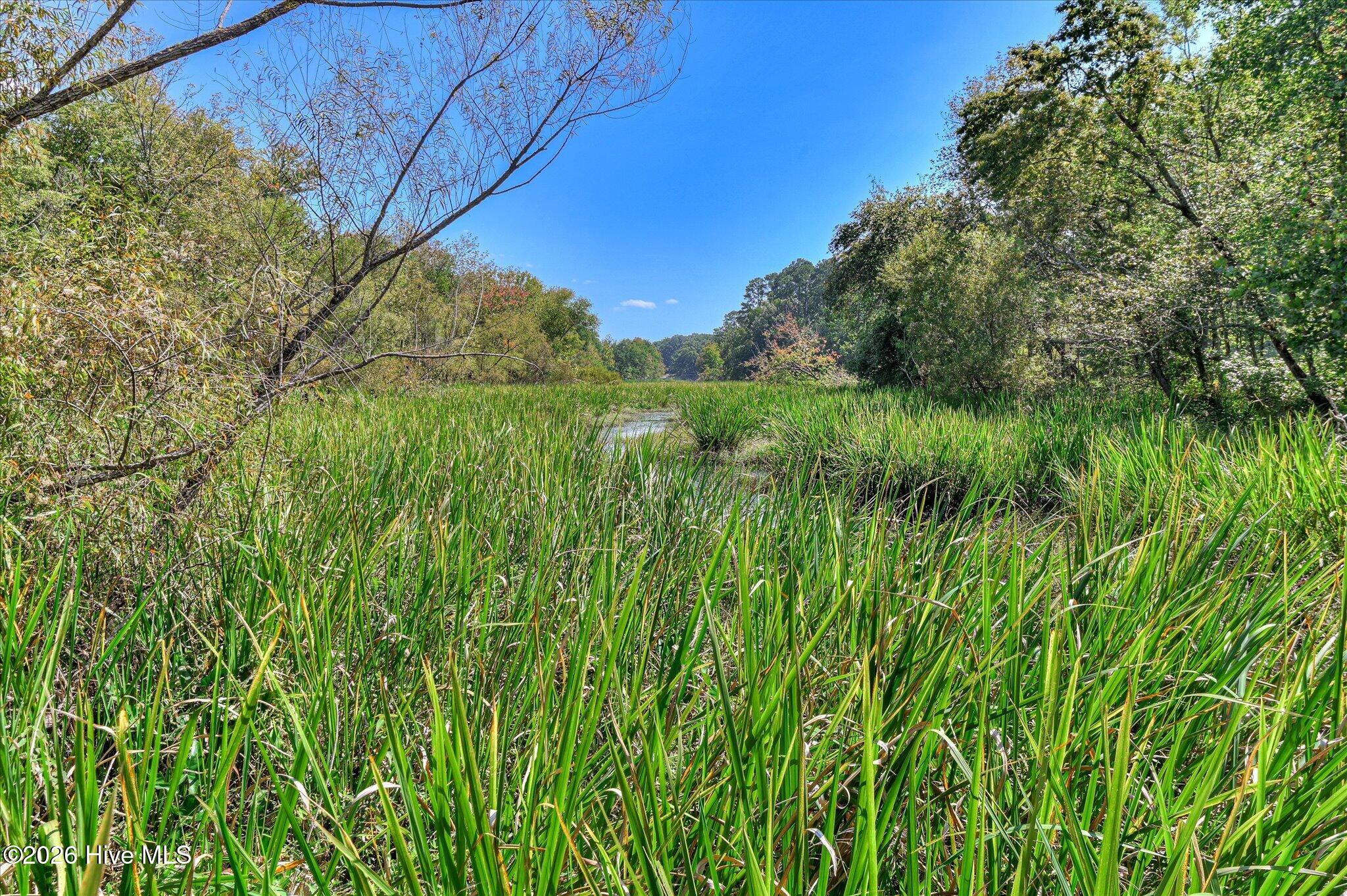 1148 Sumter Landing Circle Property Photo 74
